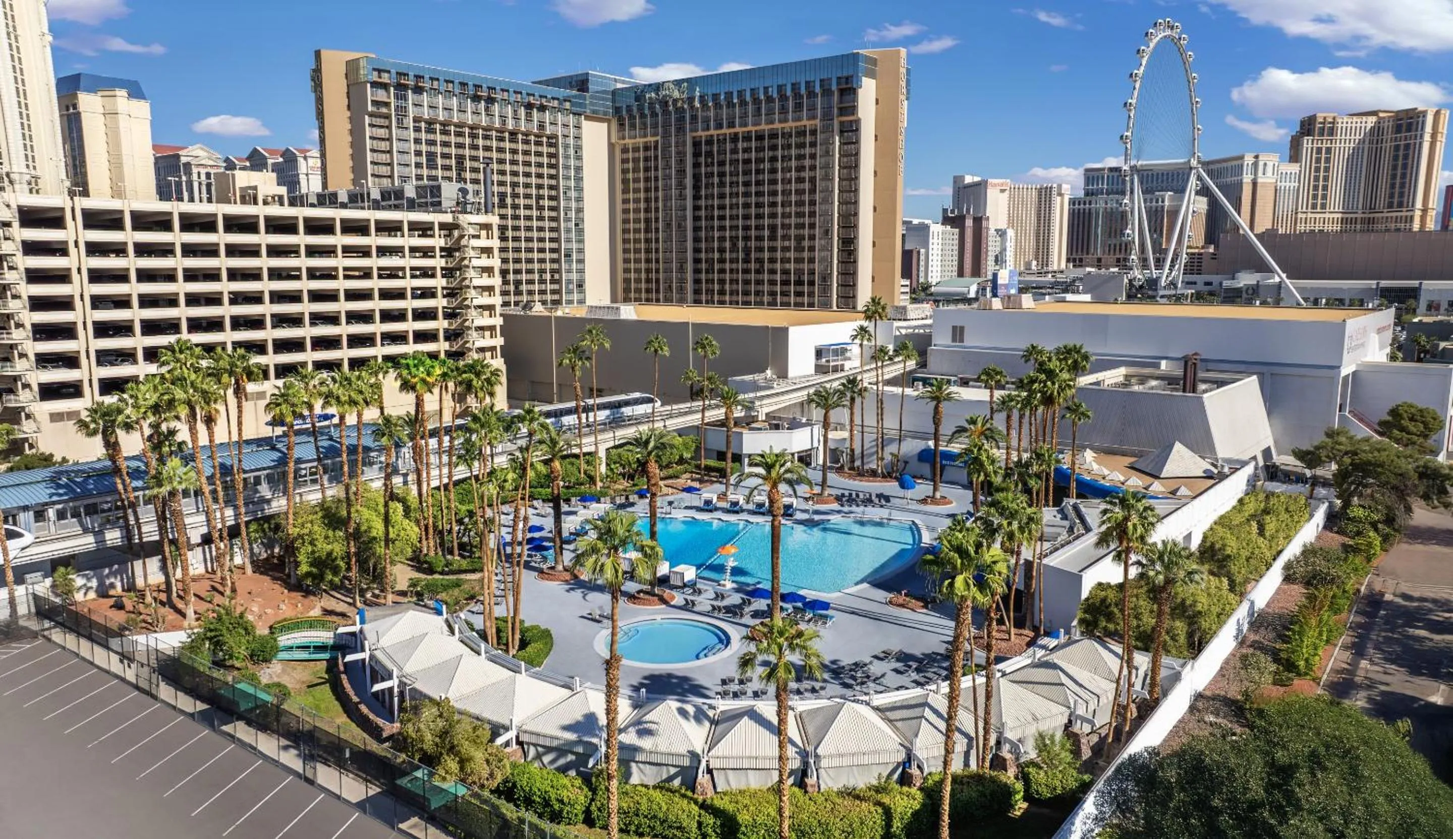 Swimming pool in Horseshoe Las Vegas