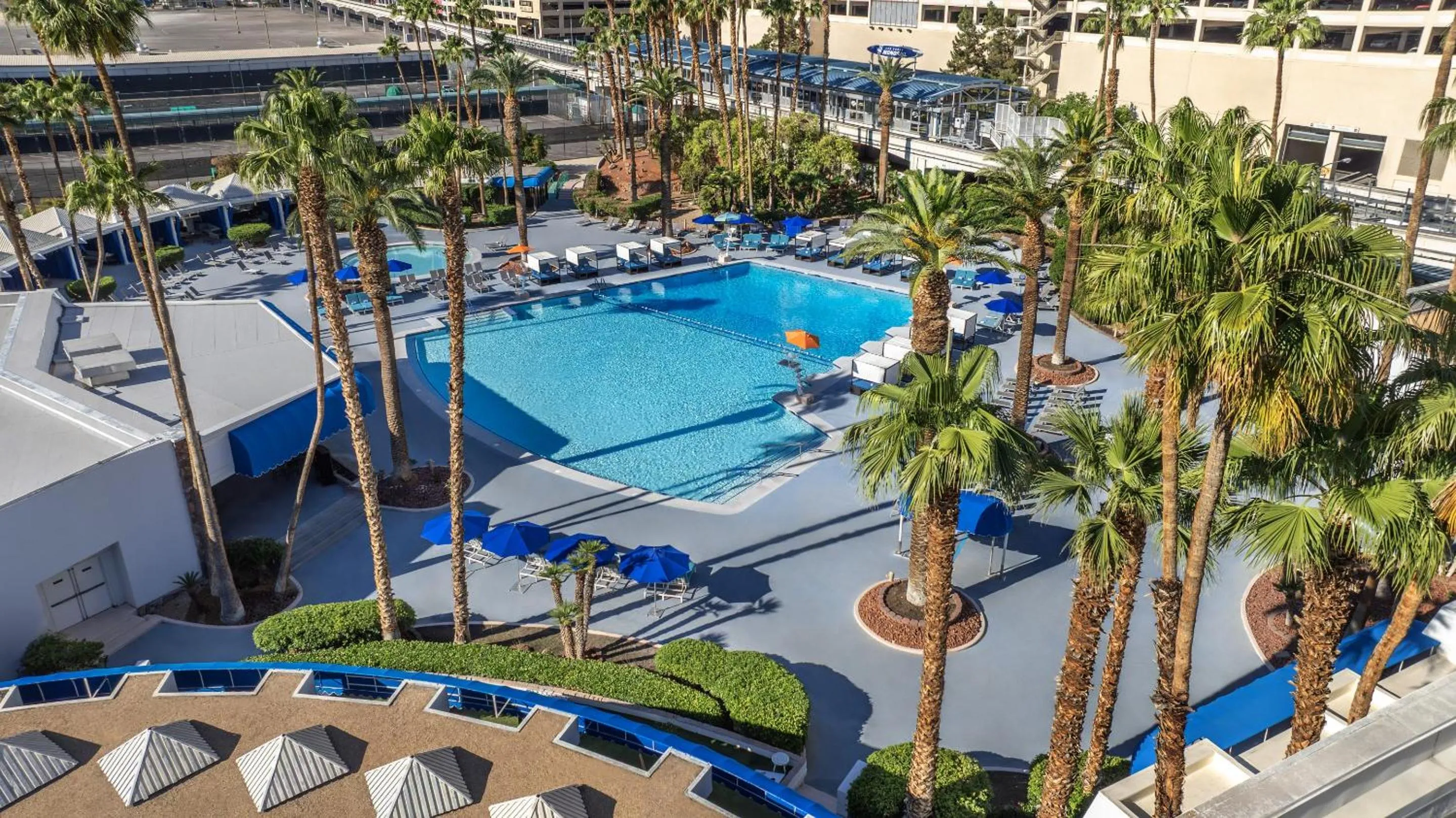 Swimming pool in Horseshoe Las Vegas