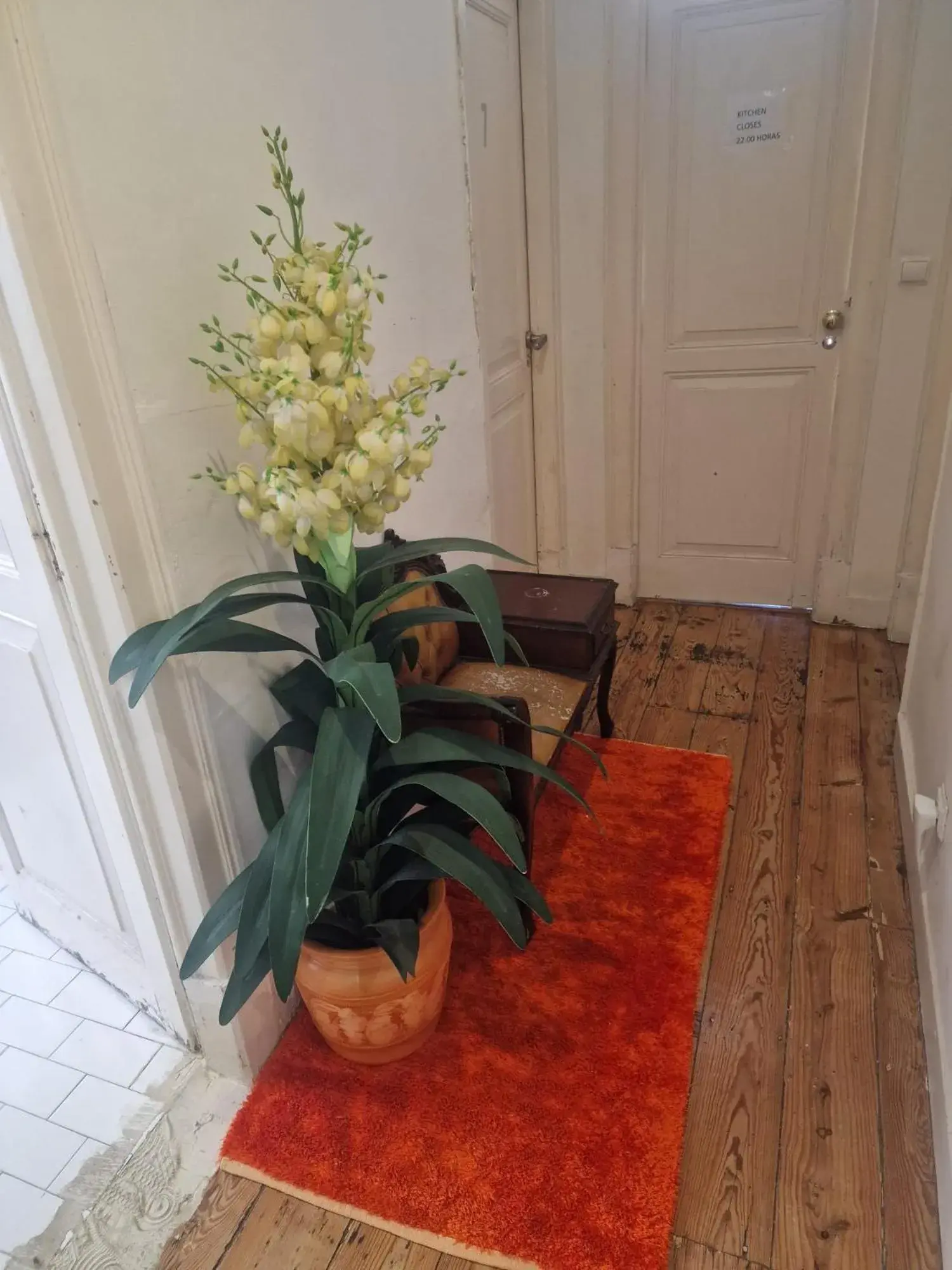 Bed in 8-Bed Mixed Dormitory Room in D&N Hospedagem Lisboa Bed in 8-Bed Mixed Dormitory Room in D&N Hospedagem Lisboa