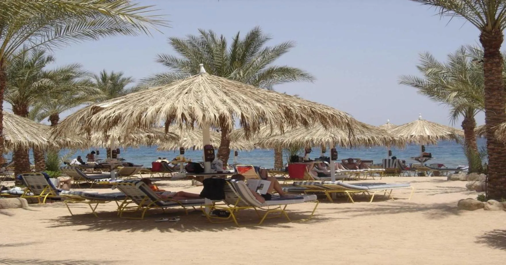 Beach in Sharm Dreams Vacation Club - Aqua Park
