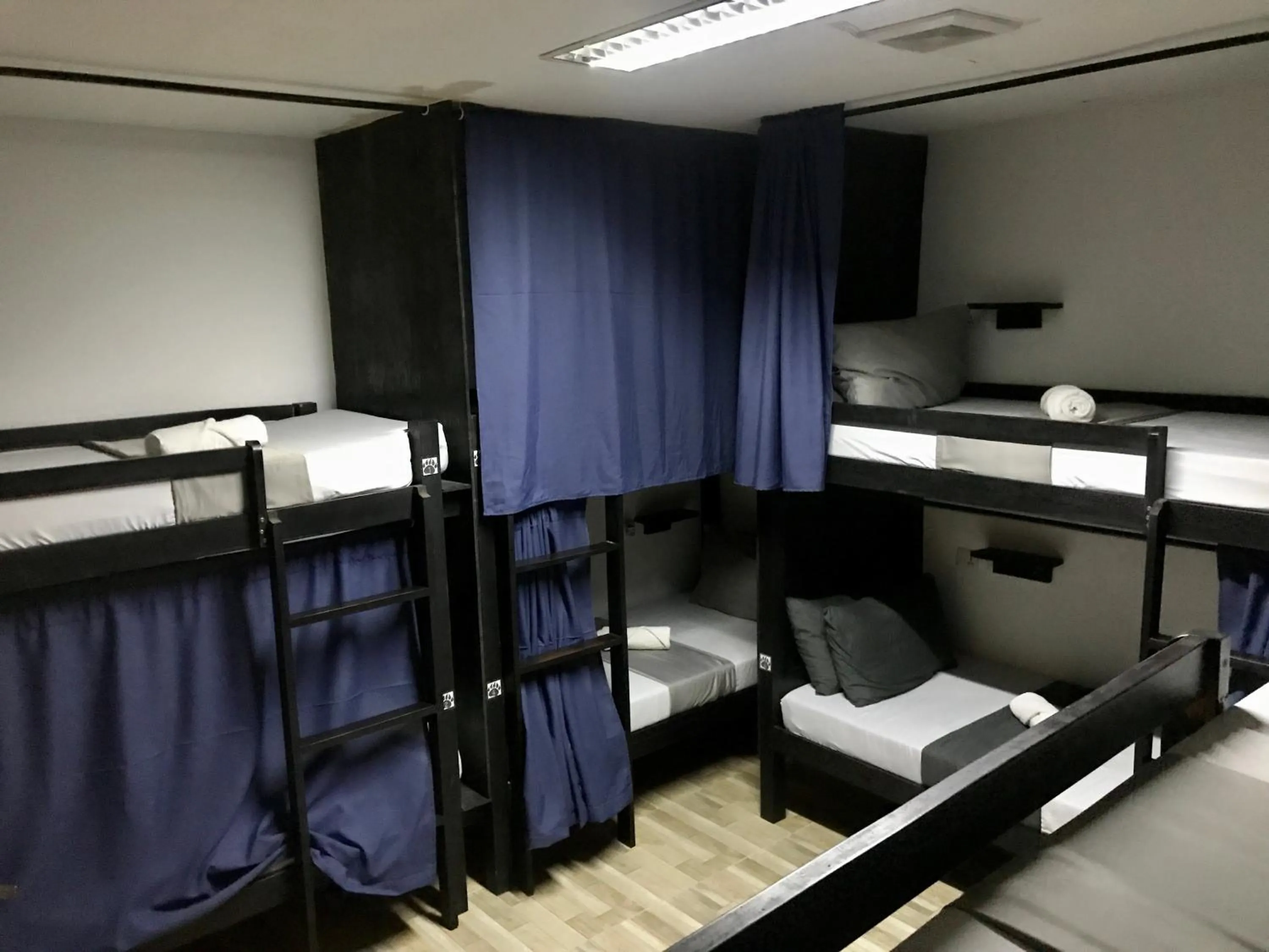 Photo of the whole room in Crazy Bears Hostel