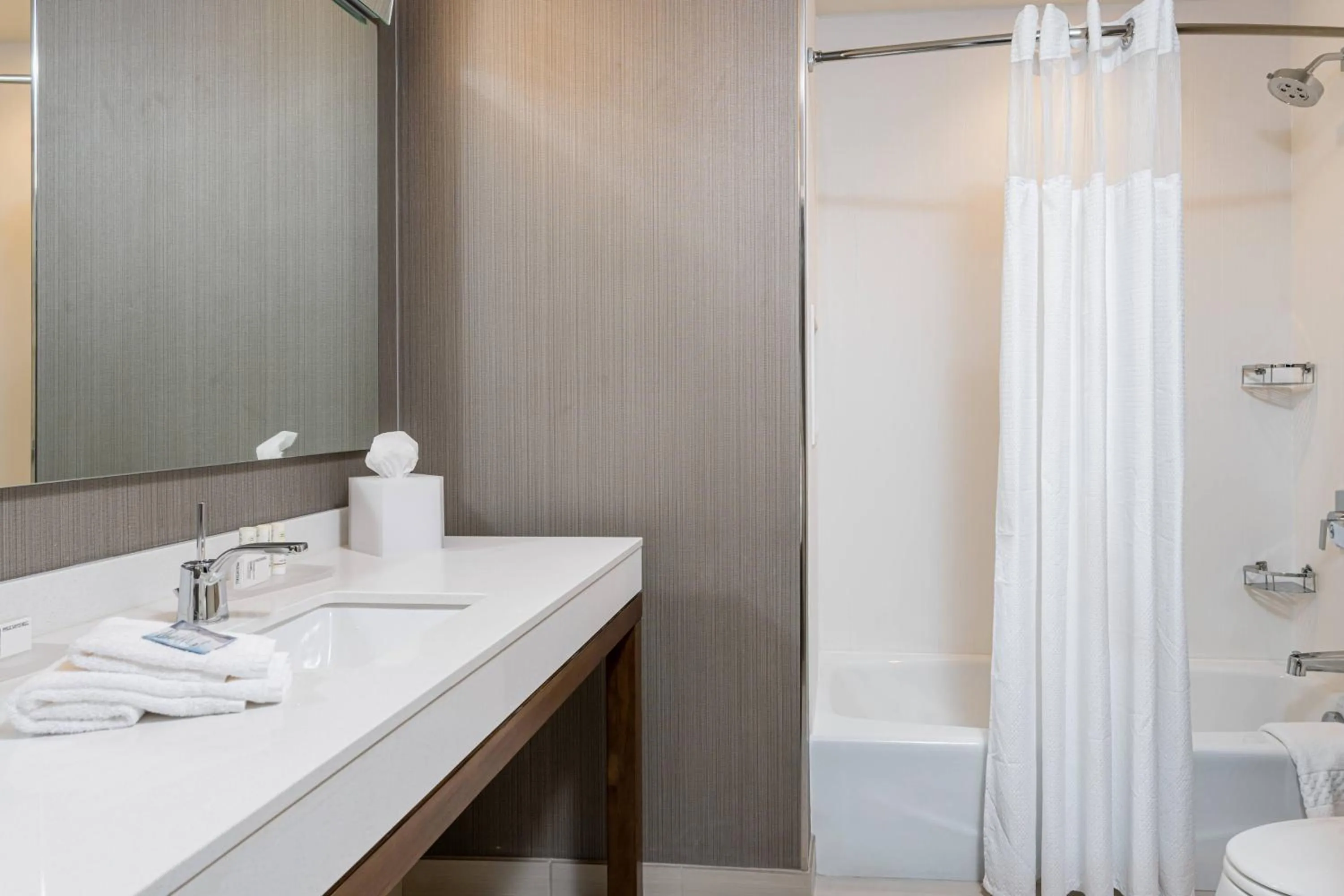 Bathroom in Courtyard Asheville Biltmore Village