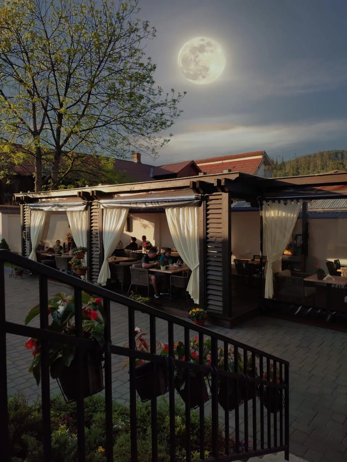 Balcony/Terrace in Hotel Buchenland