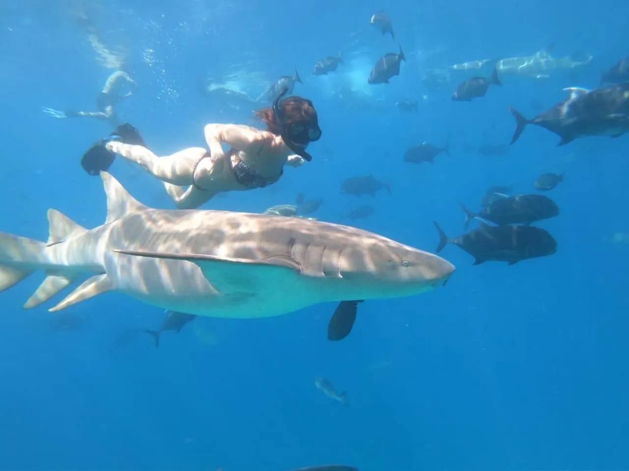Snorkeling in Athens View Hotel