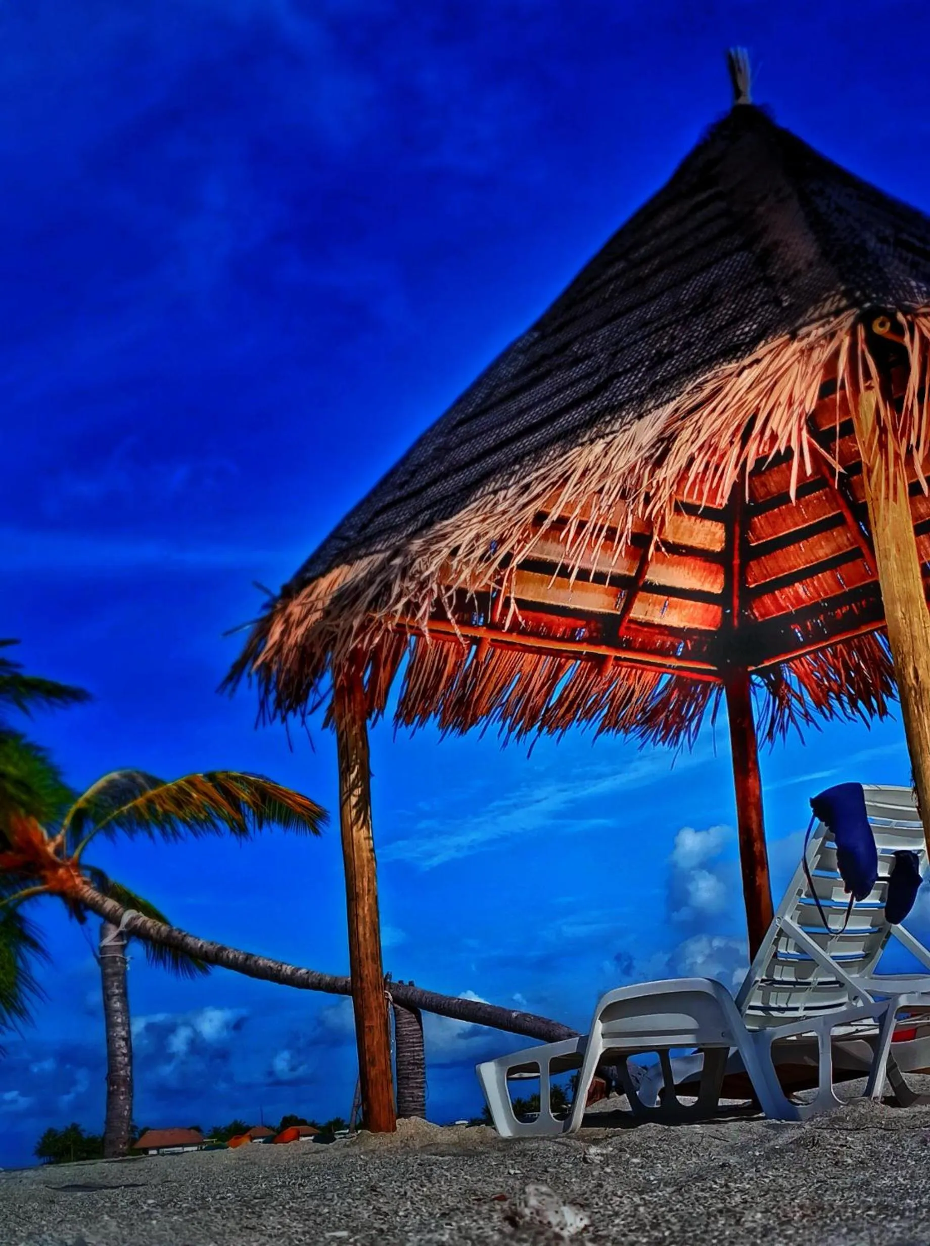 Natural landscape in Athens View Hotel