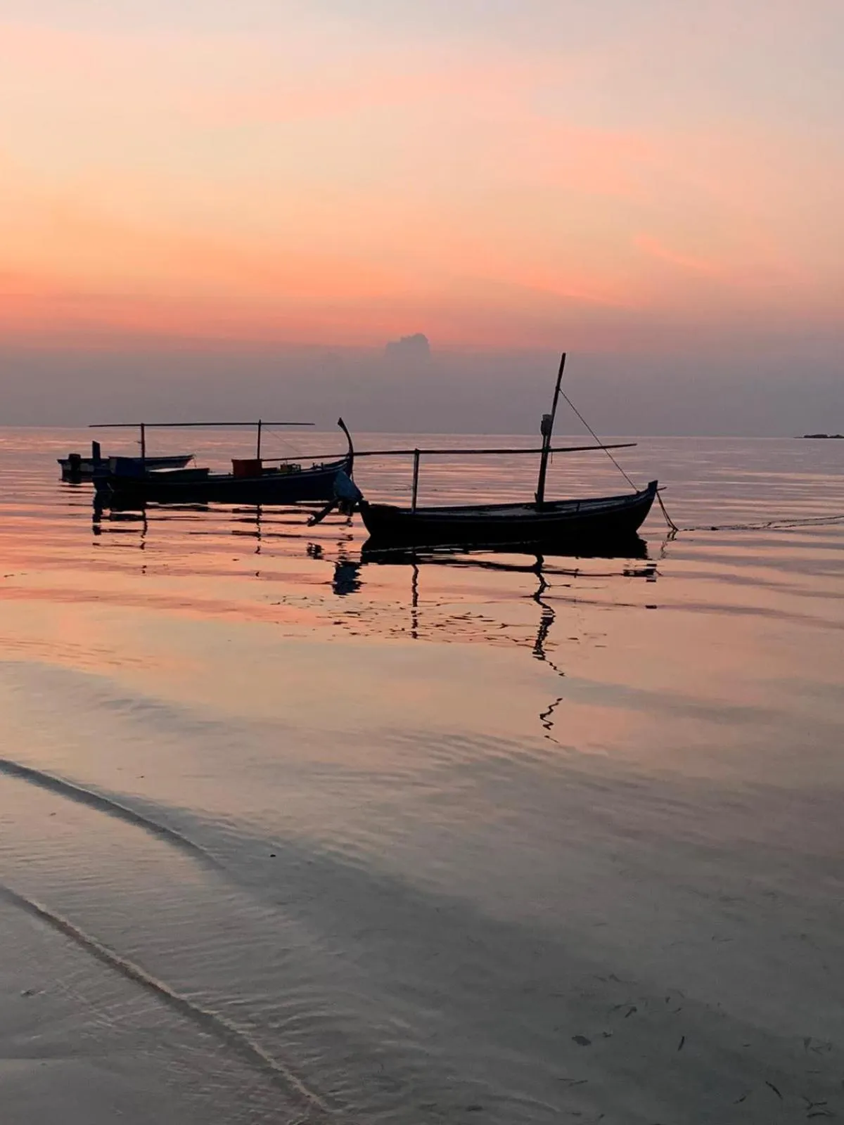 Natural landscape in Athens View Hotel