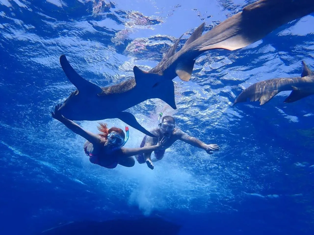 Natural landscape in Athens View Hotel