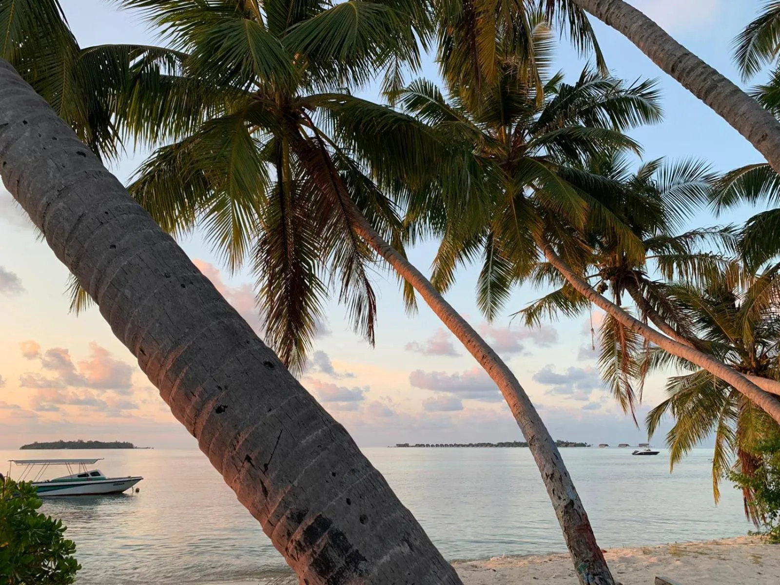 Off site in Athens View Hotel