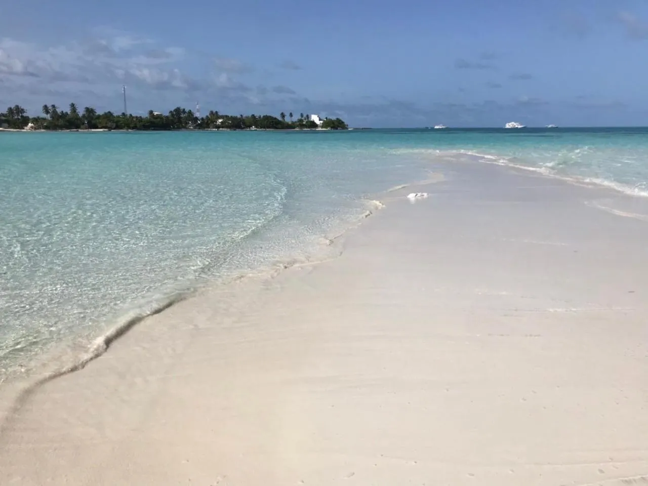 Natural landscape in Athens View Hotel