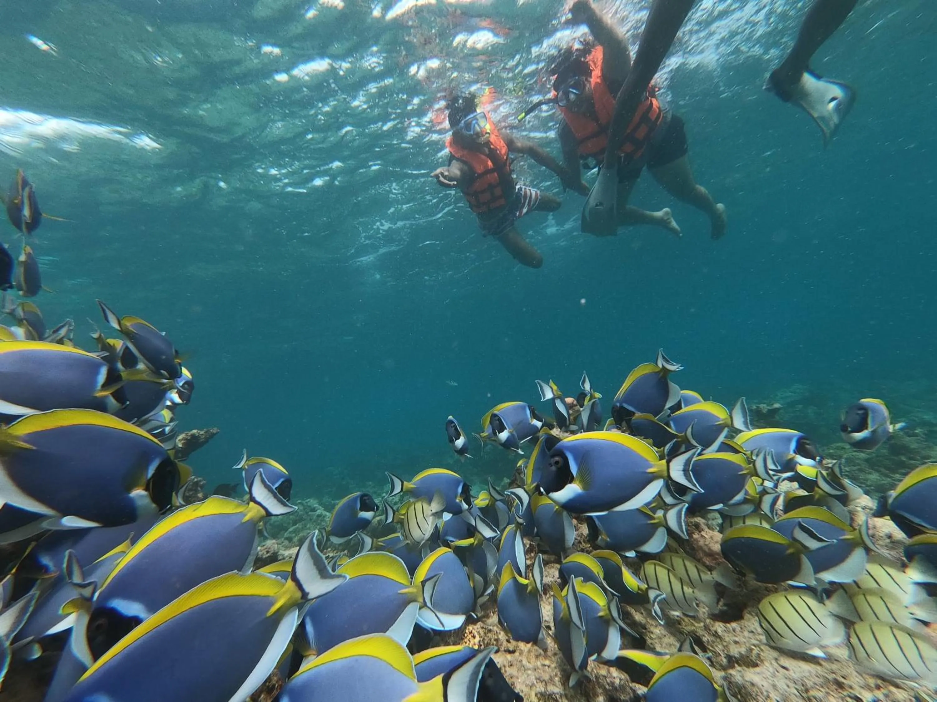 Day in Athens View Hotel