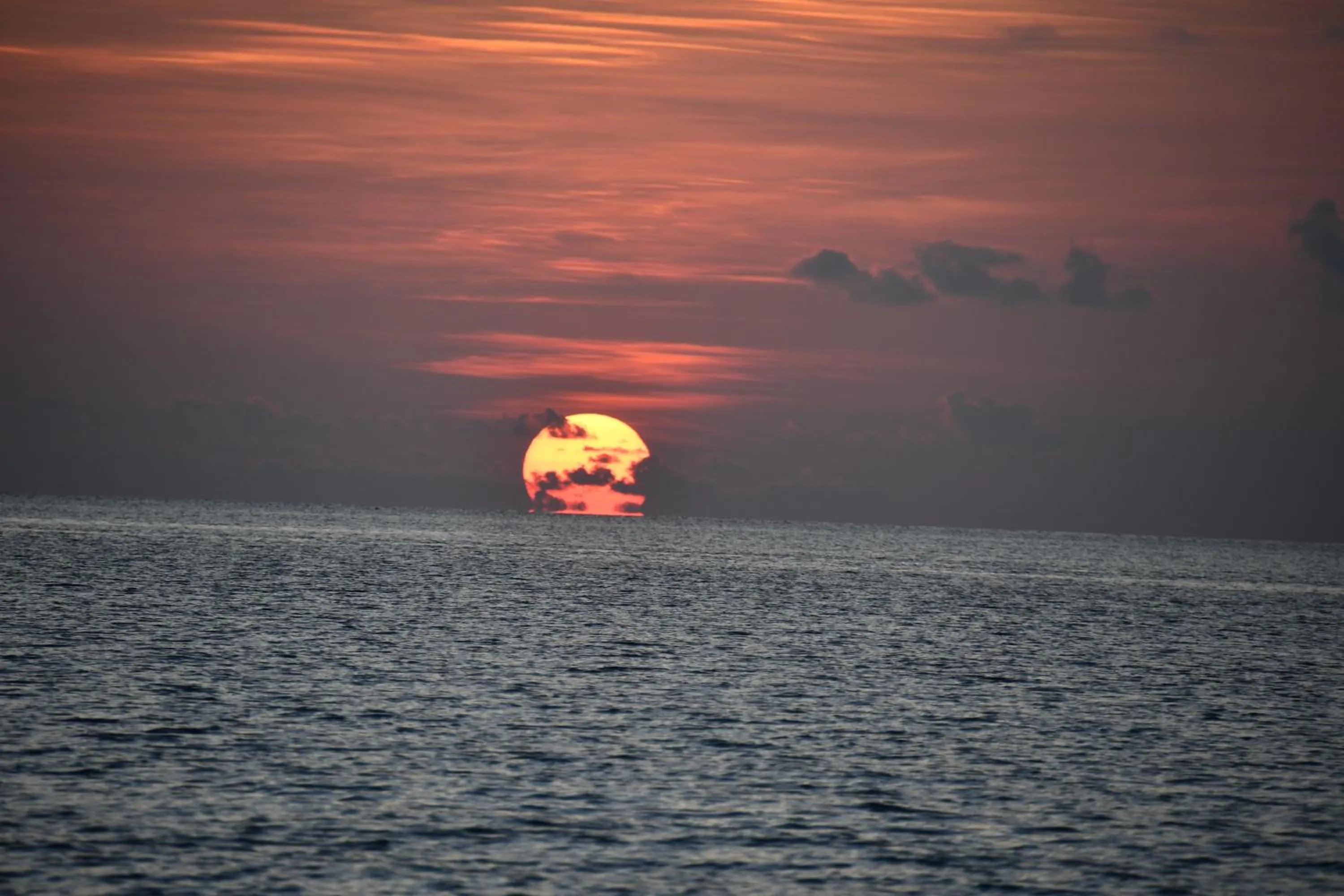 Natural landscape in Athens View Hotel