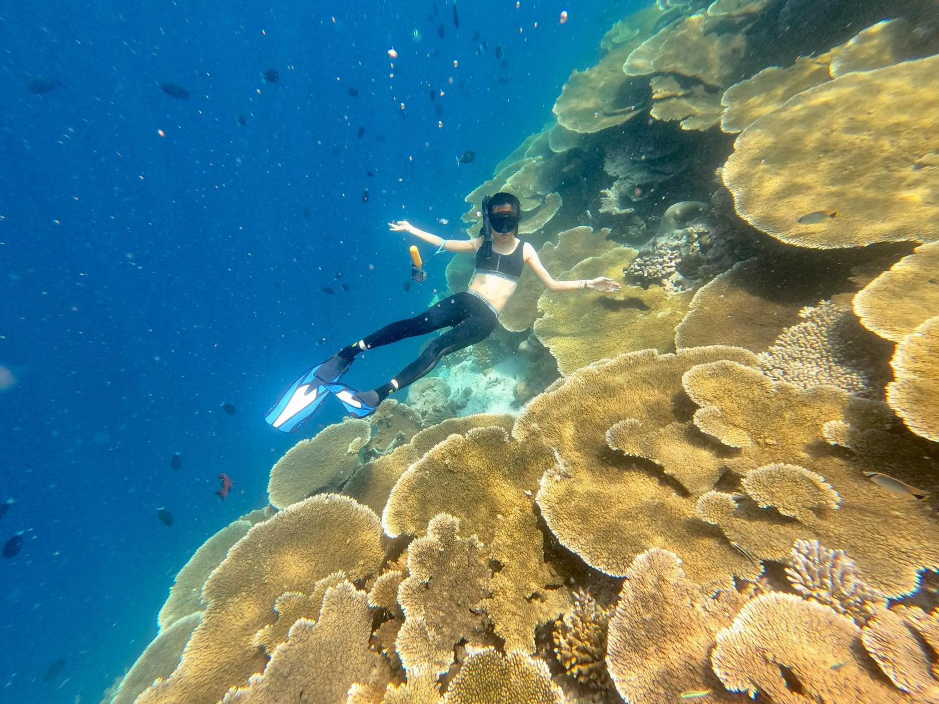 Natural landscape in Athens View Hotel