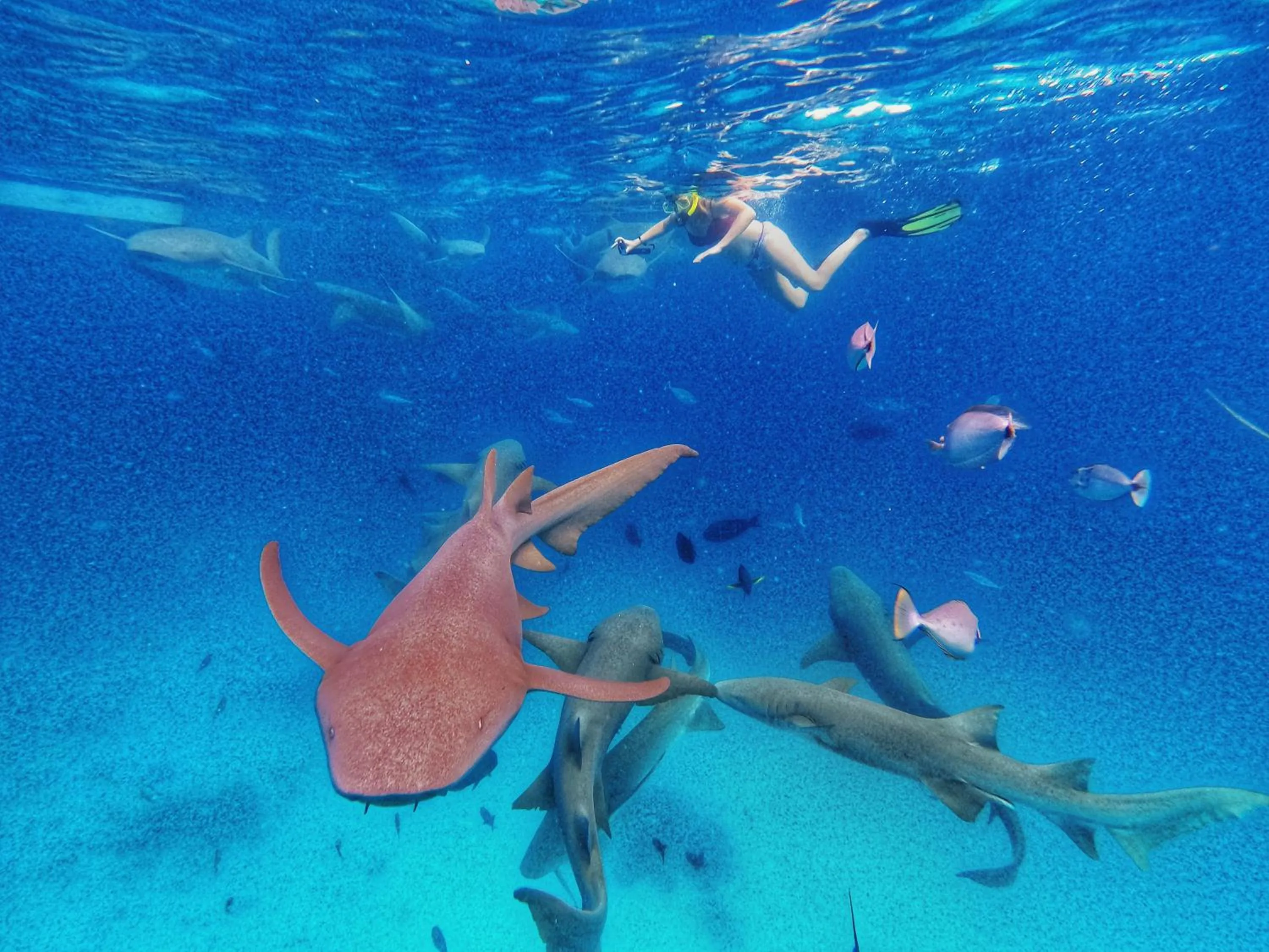 Activities in Athens View Hotel