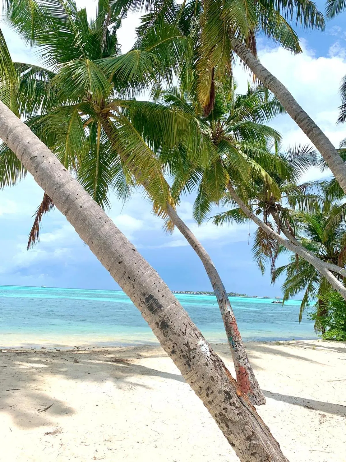 Off site in Athens View Hotel