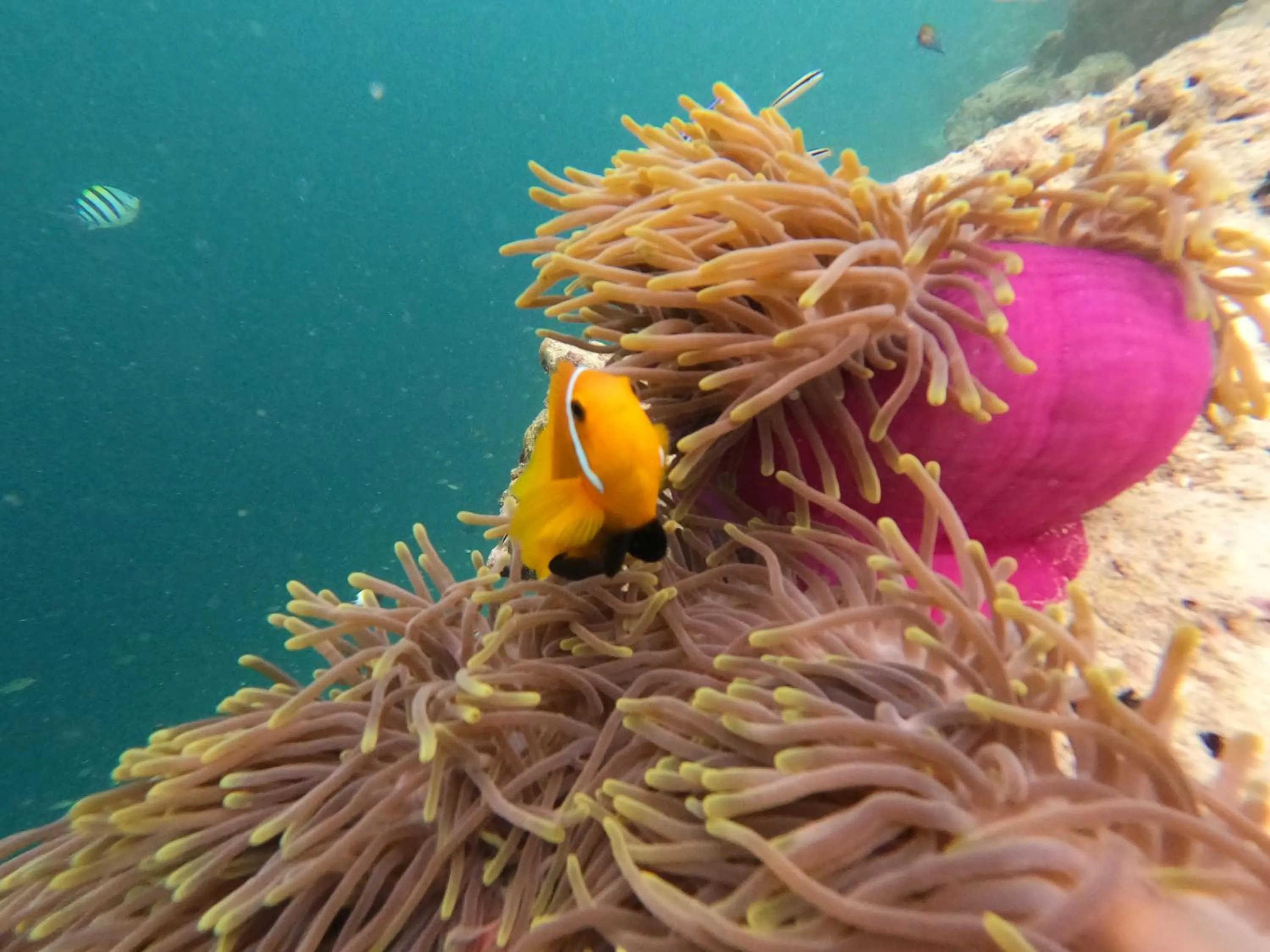 People in Athens View Hotel