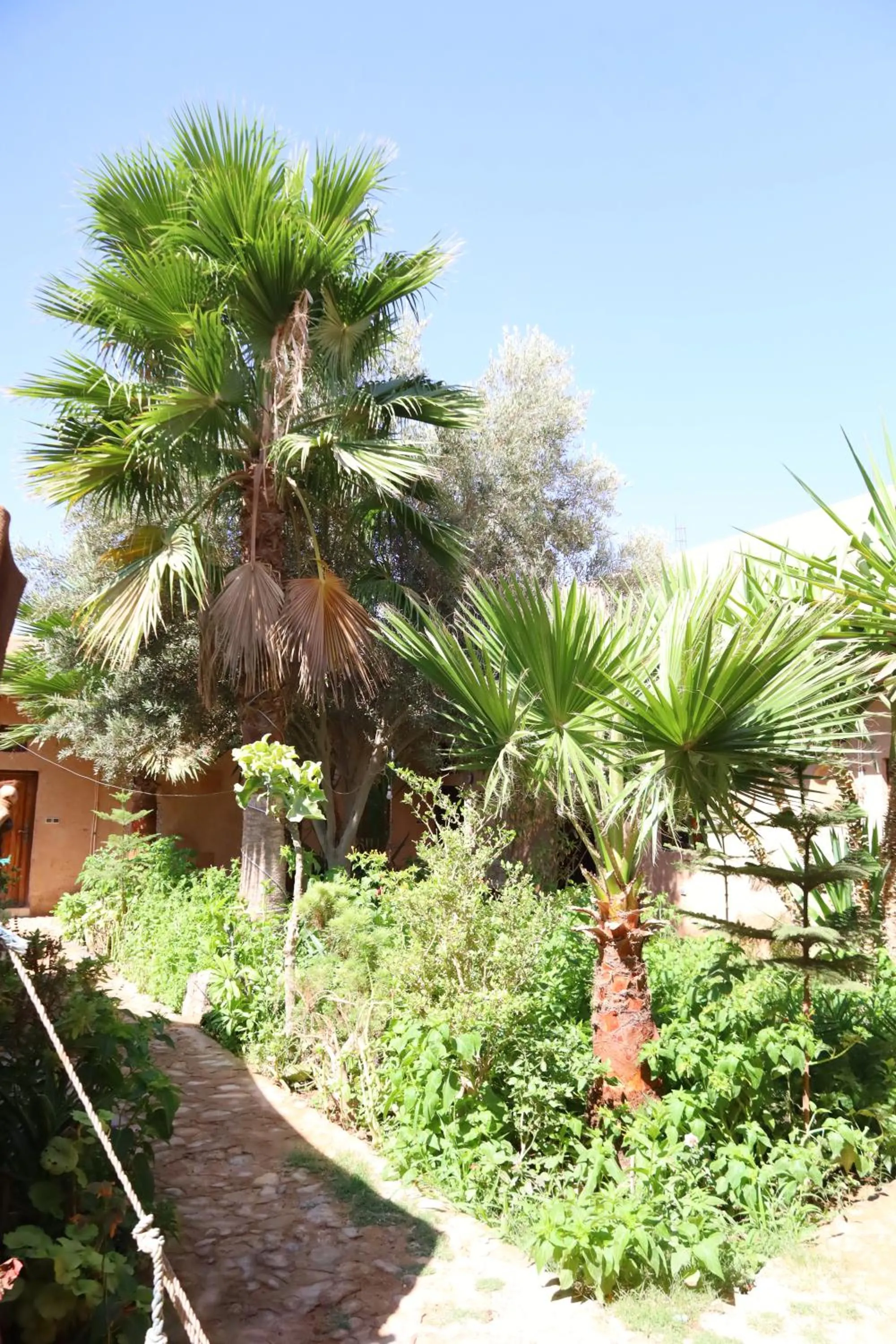 Maison etoile du desert