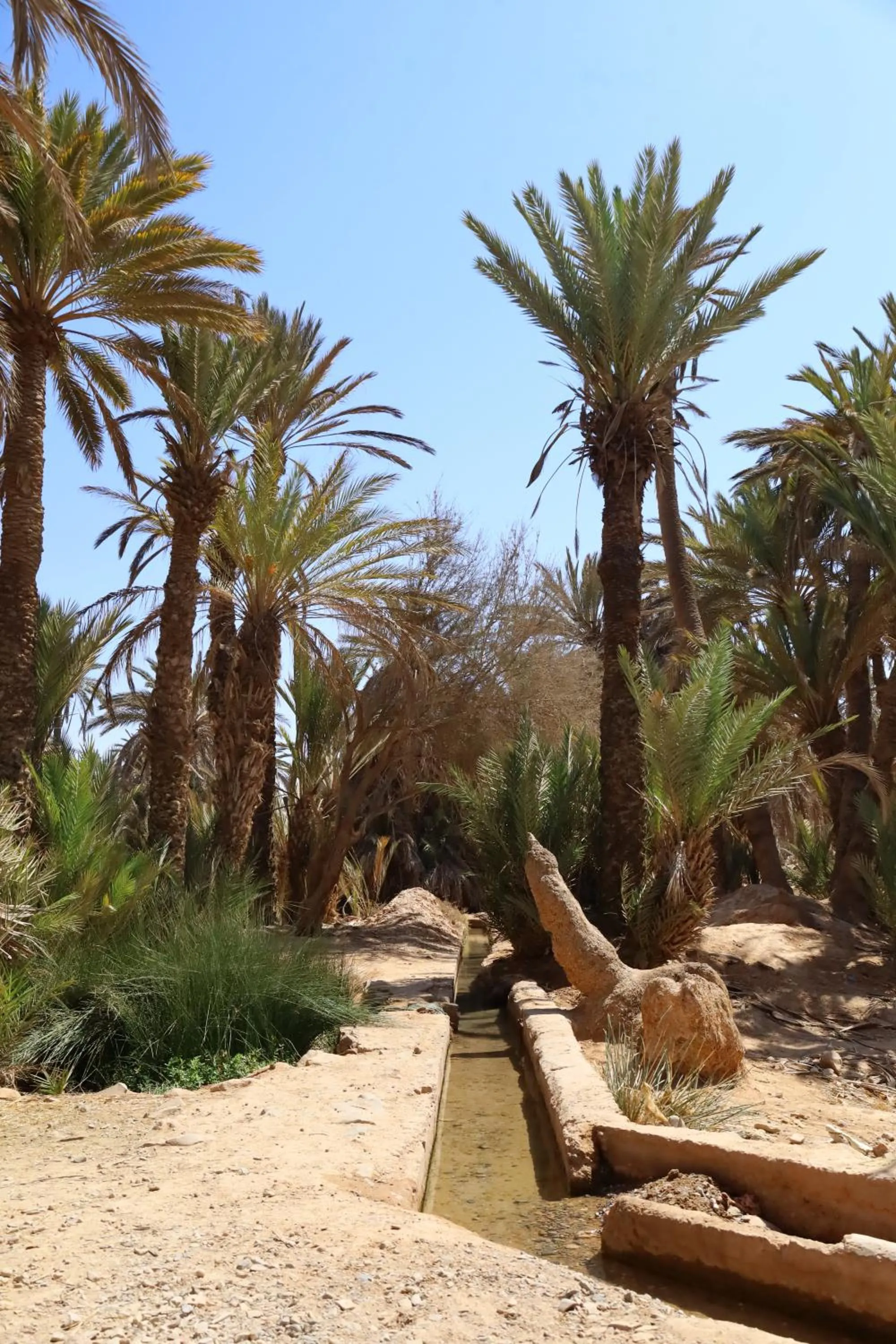 Maison etoile du desert