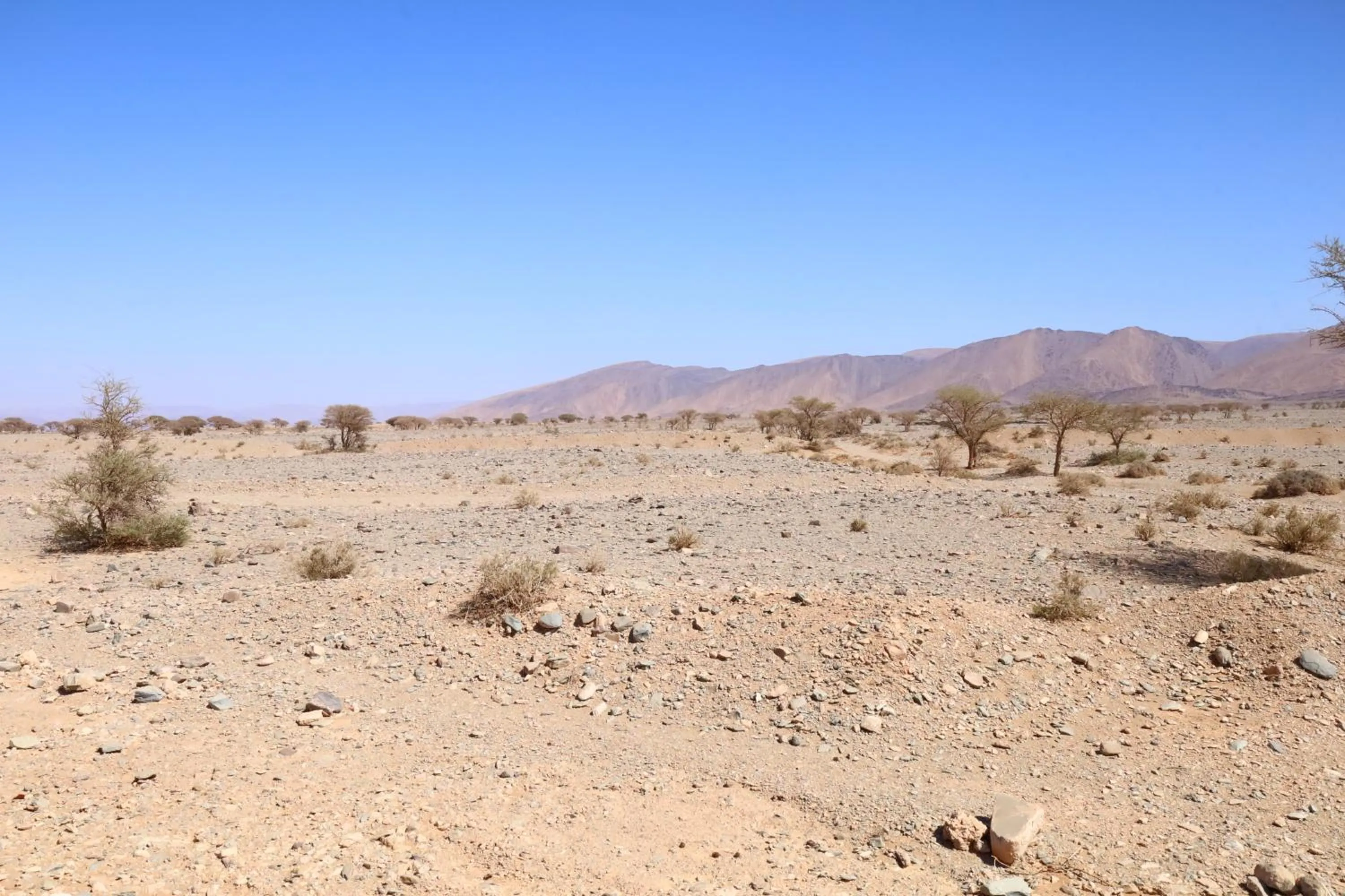 Maison etoile du desert