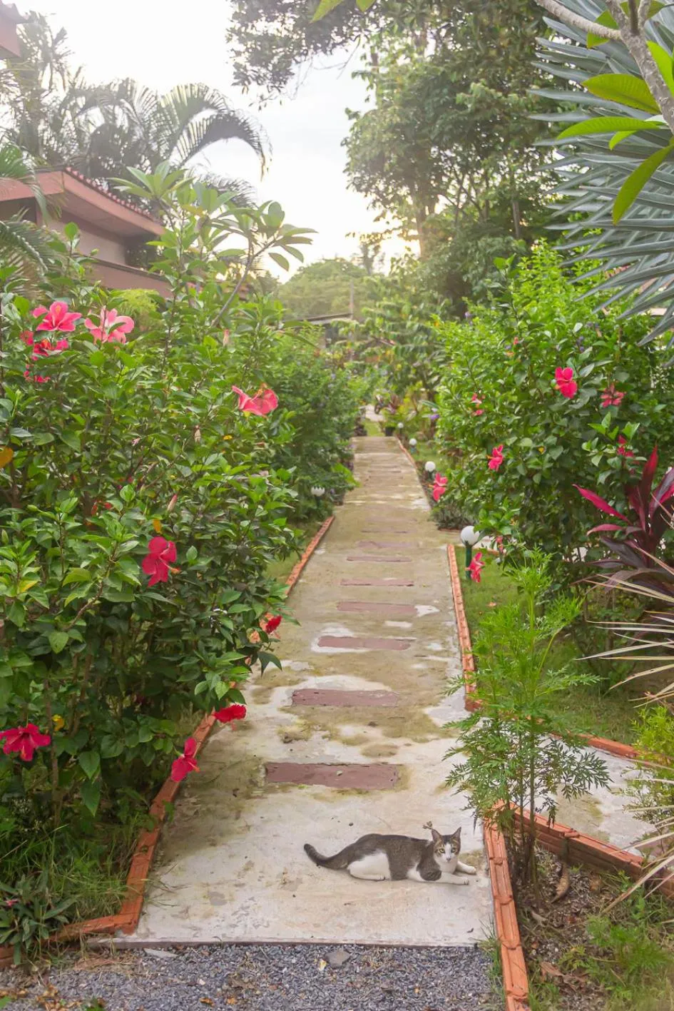 The Travelers Friend