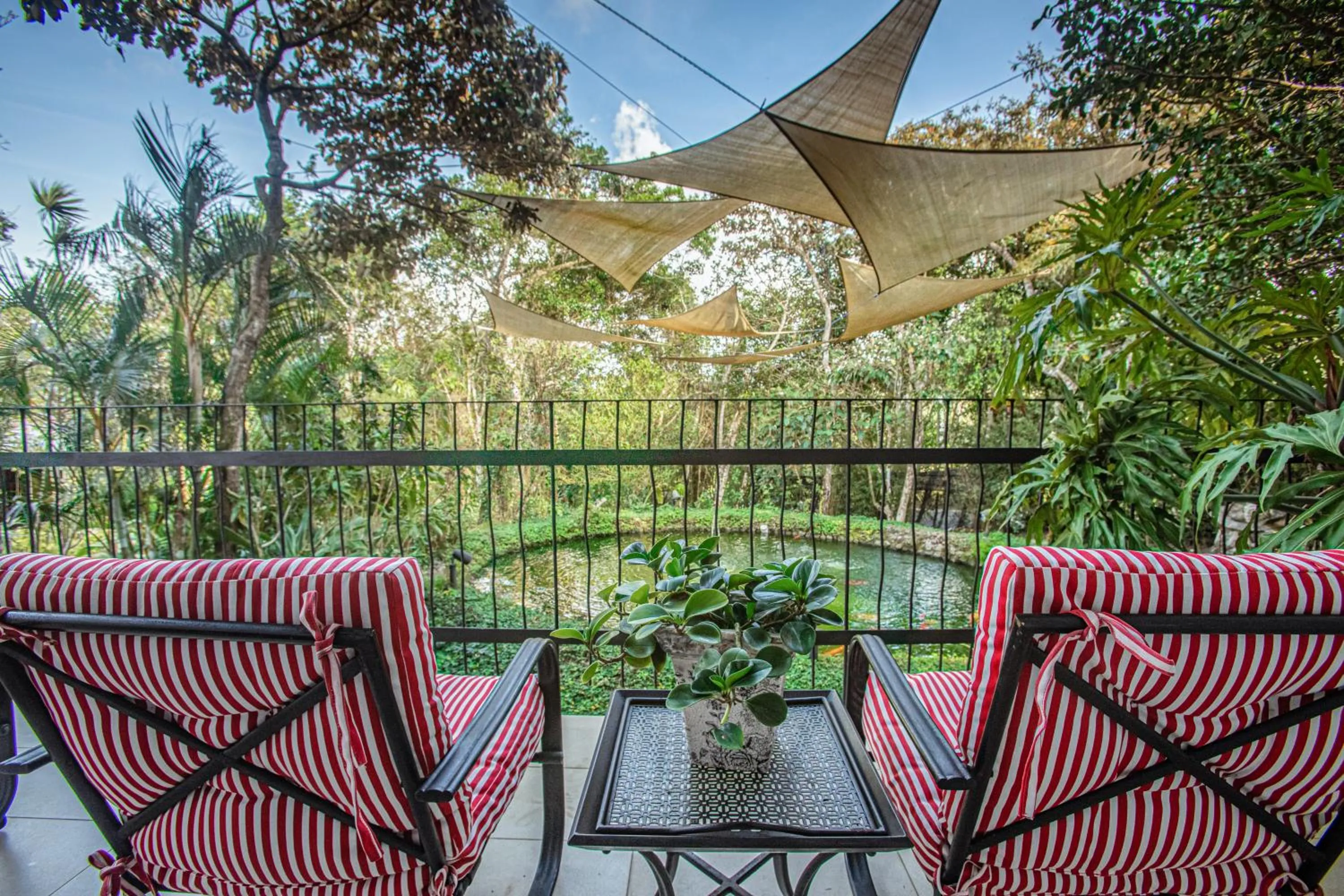 Garden view in Casa Madre Tierra