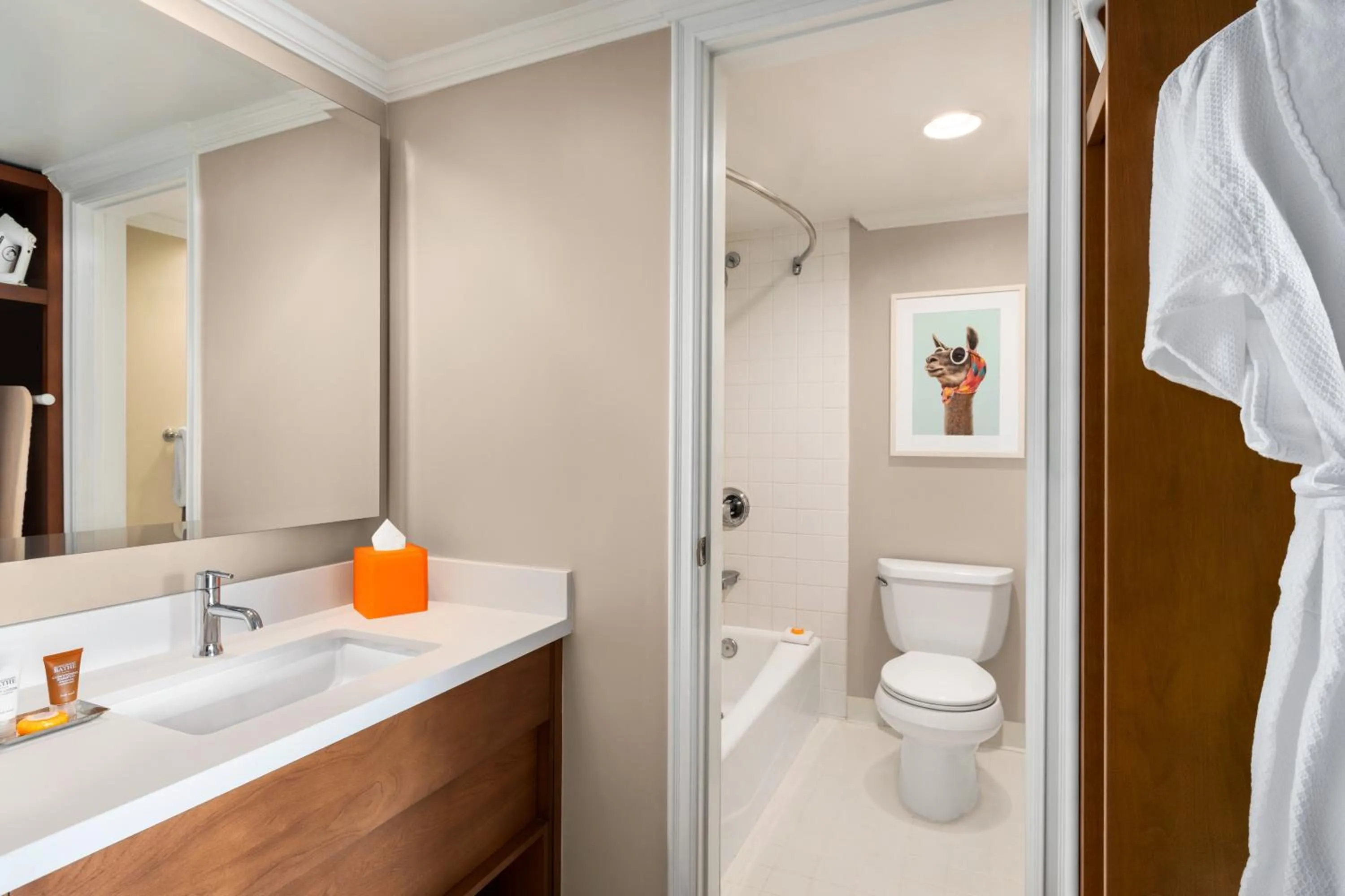 Bathroom in Town and Country San Diego