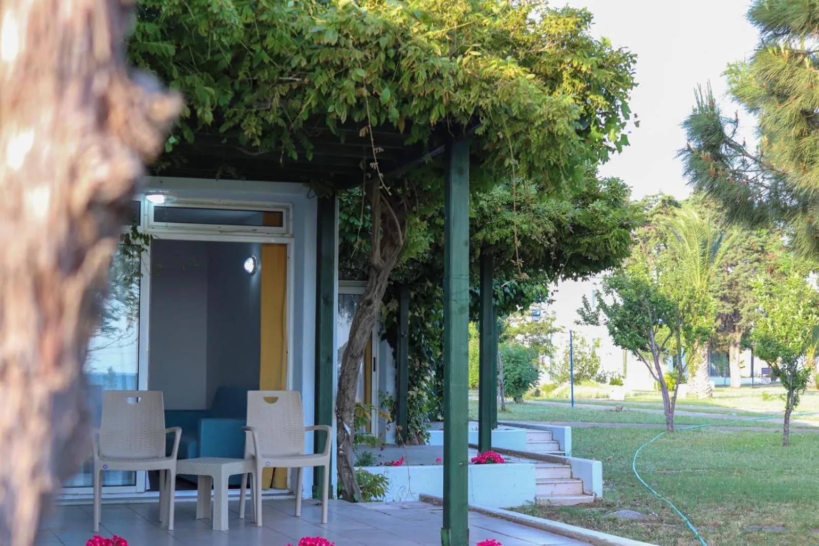 Garden in Afytos Akcay Tatil Koyu