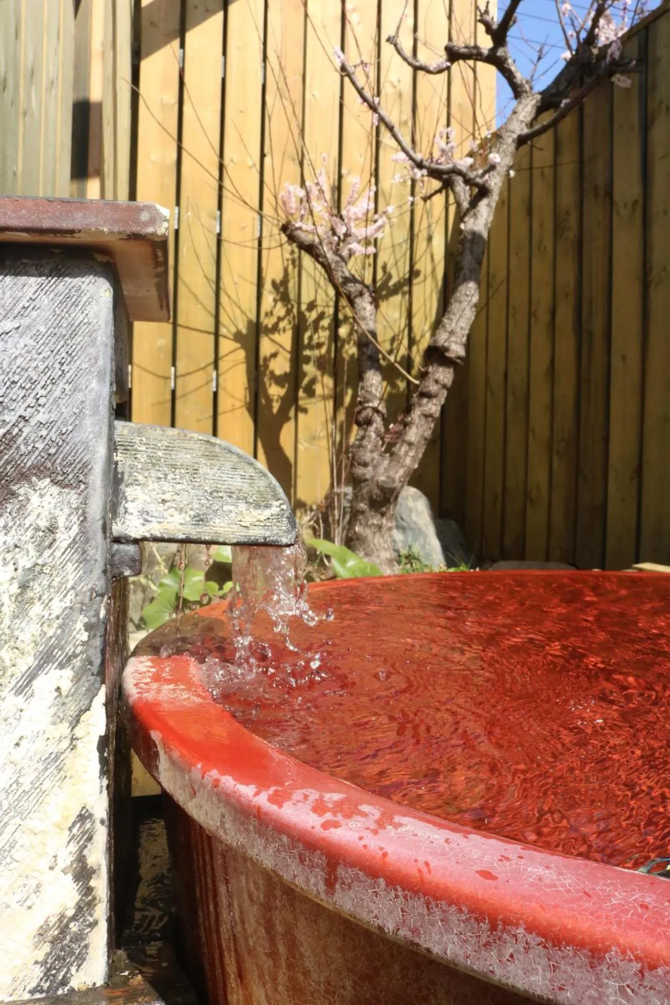 Hot Spring Bath in Saigiku