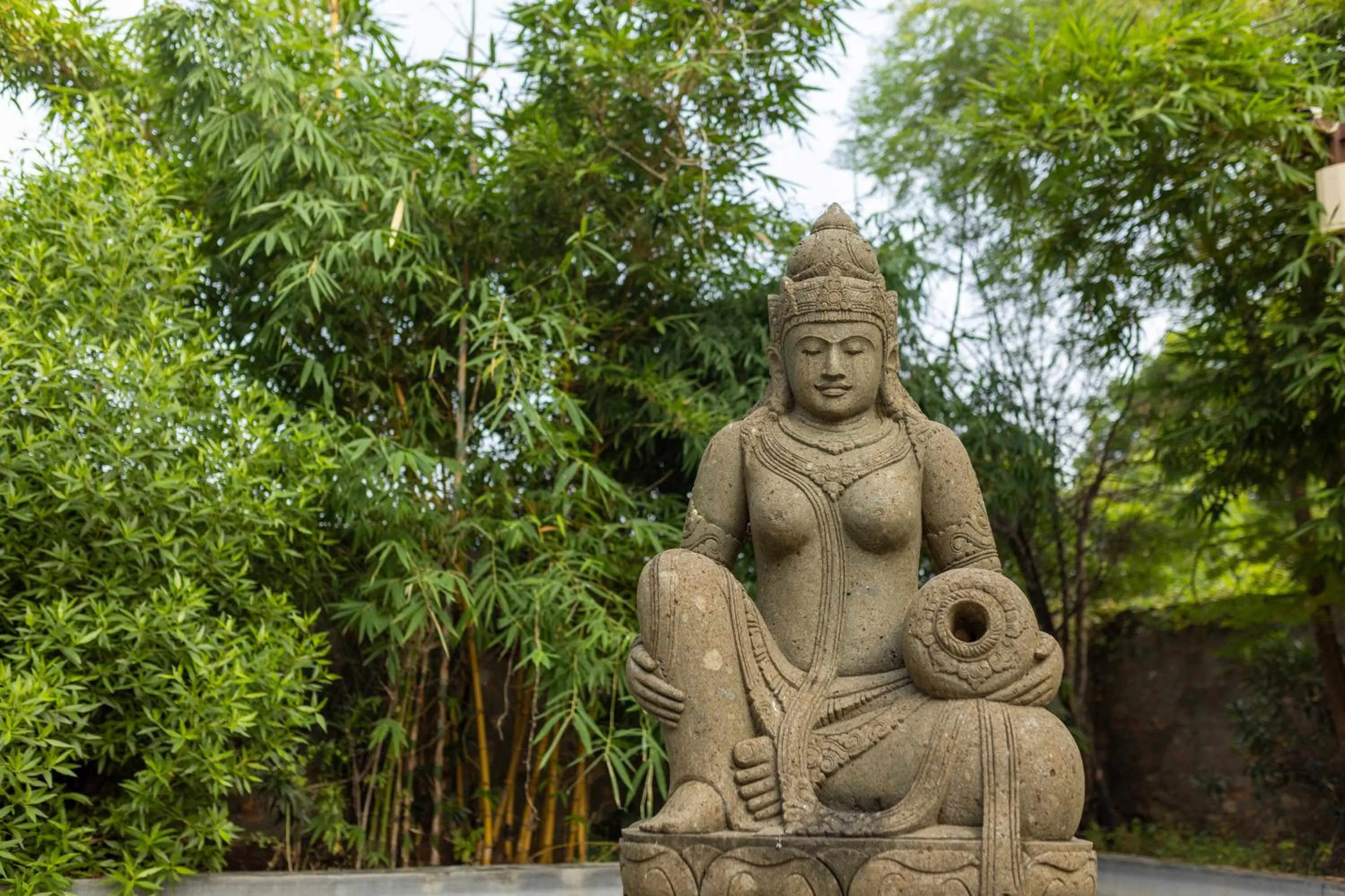 Clarks Safari Ranthambore