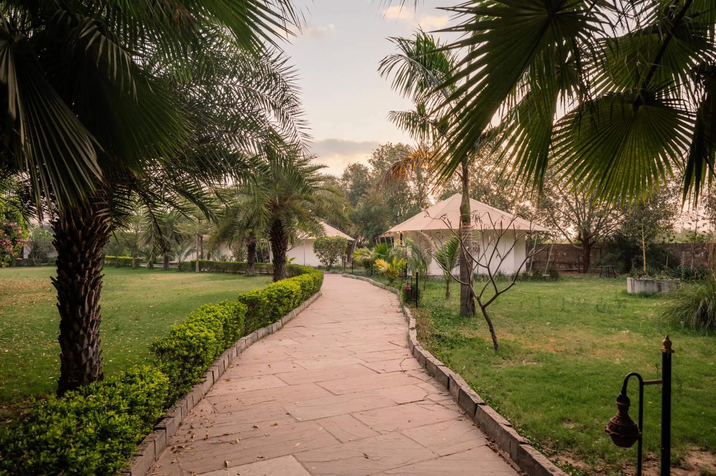 Clarks Safari Ranthambore