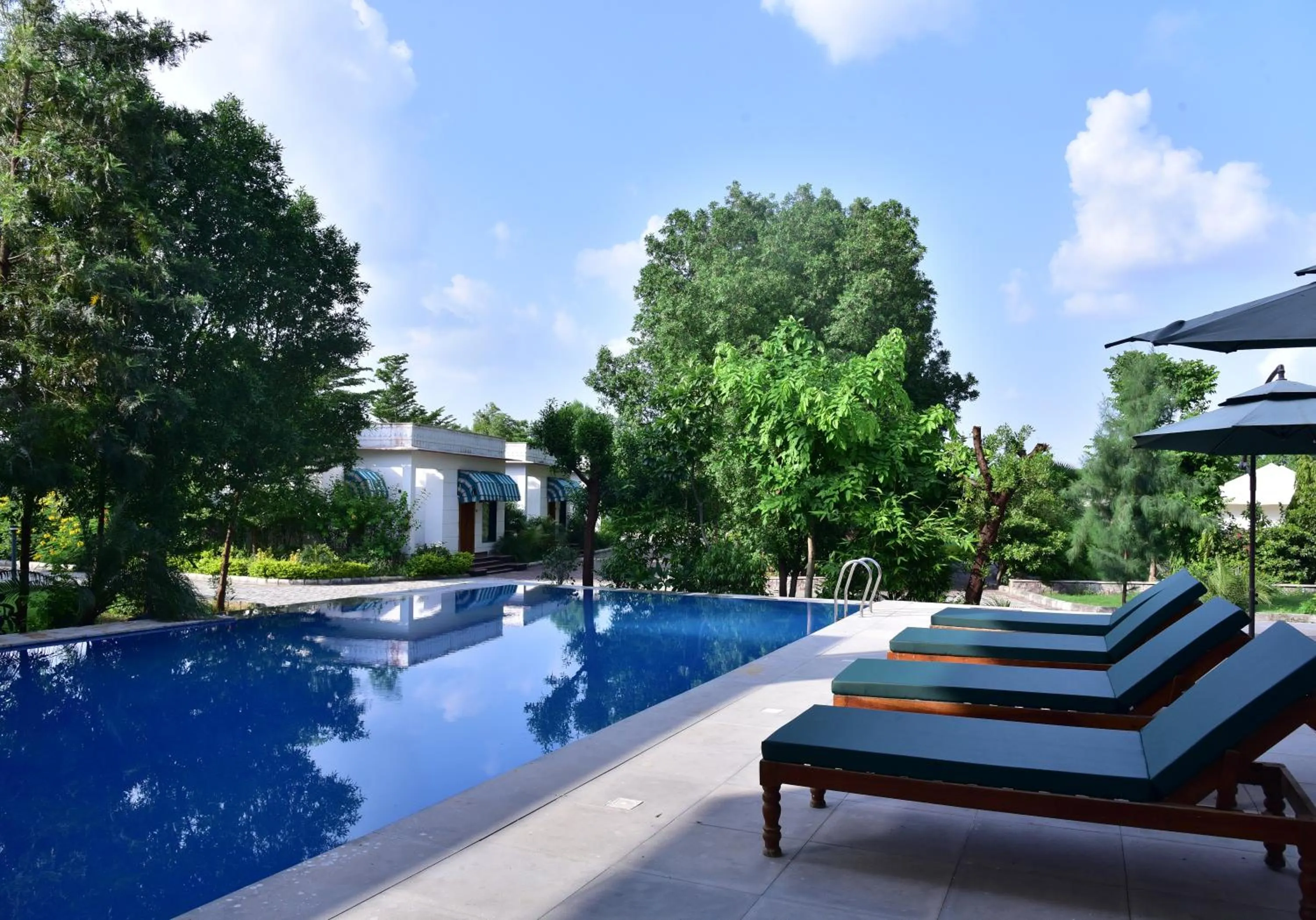 Clarks Safari Ranthambore