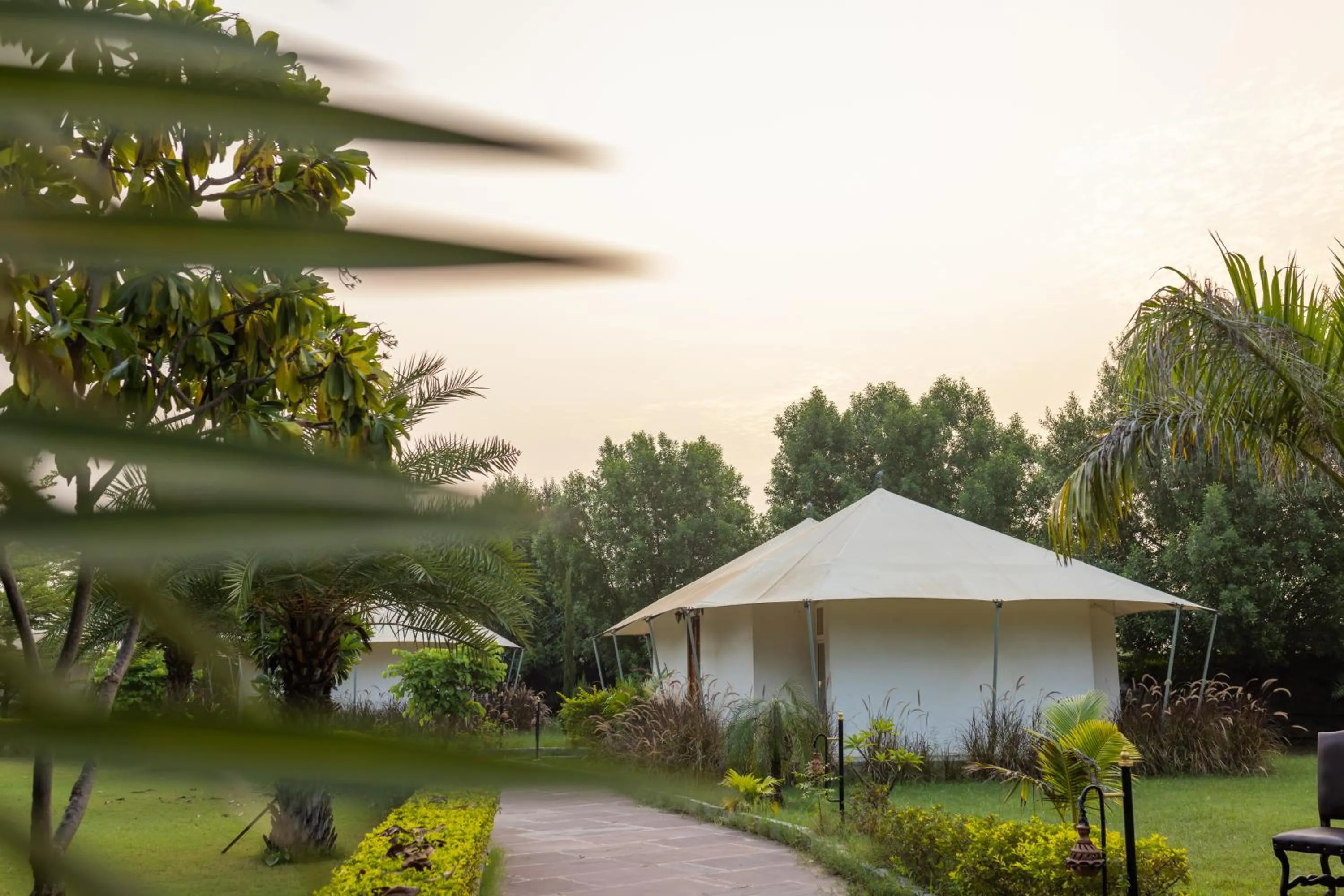 Clarks Safari Ranthambore