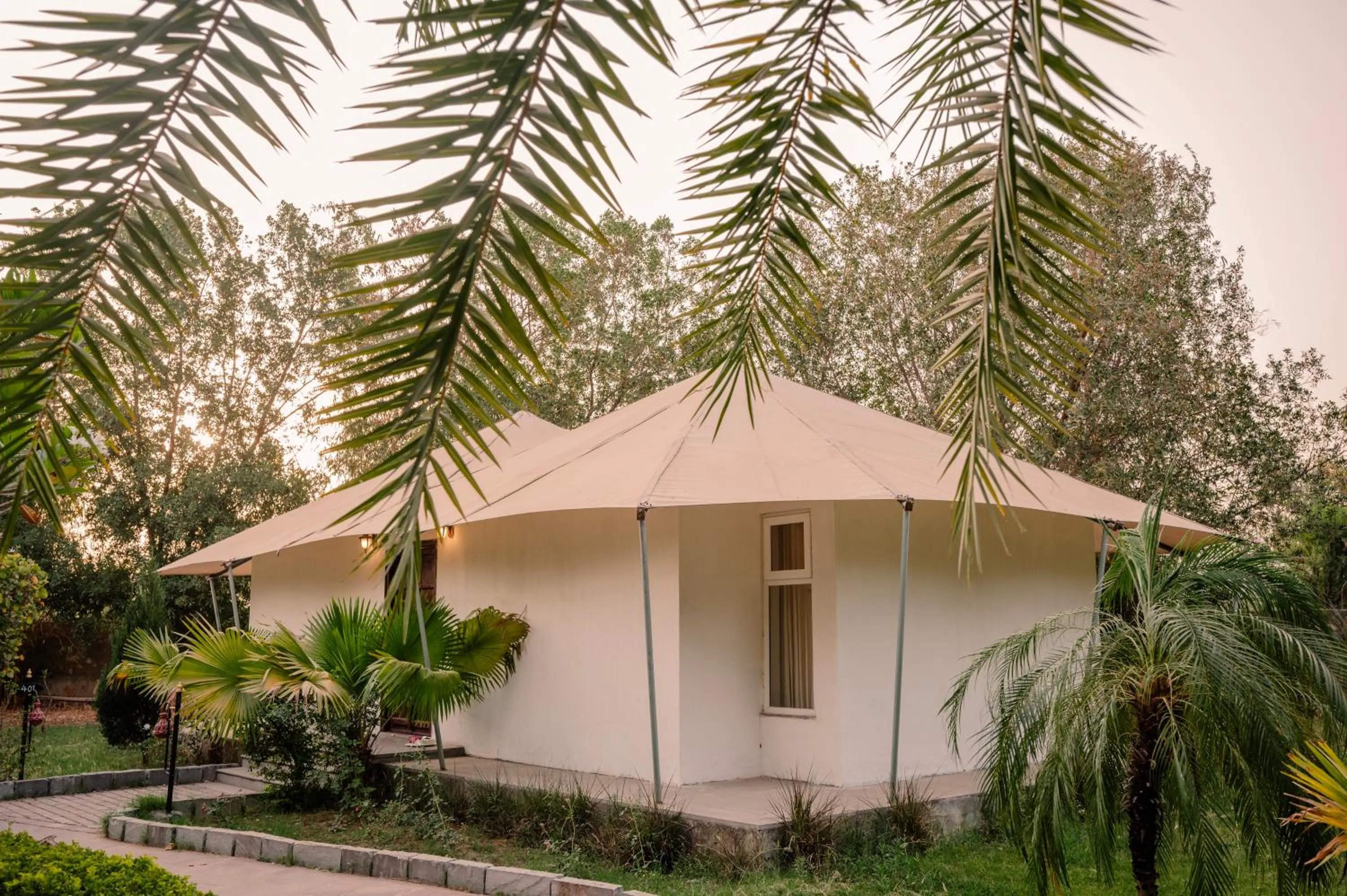 Clarks Safari Ranthambore