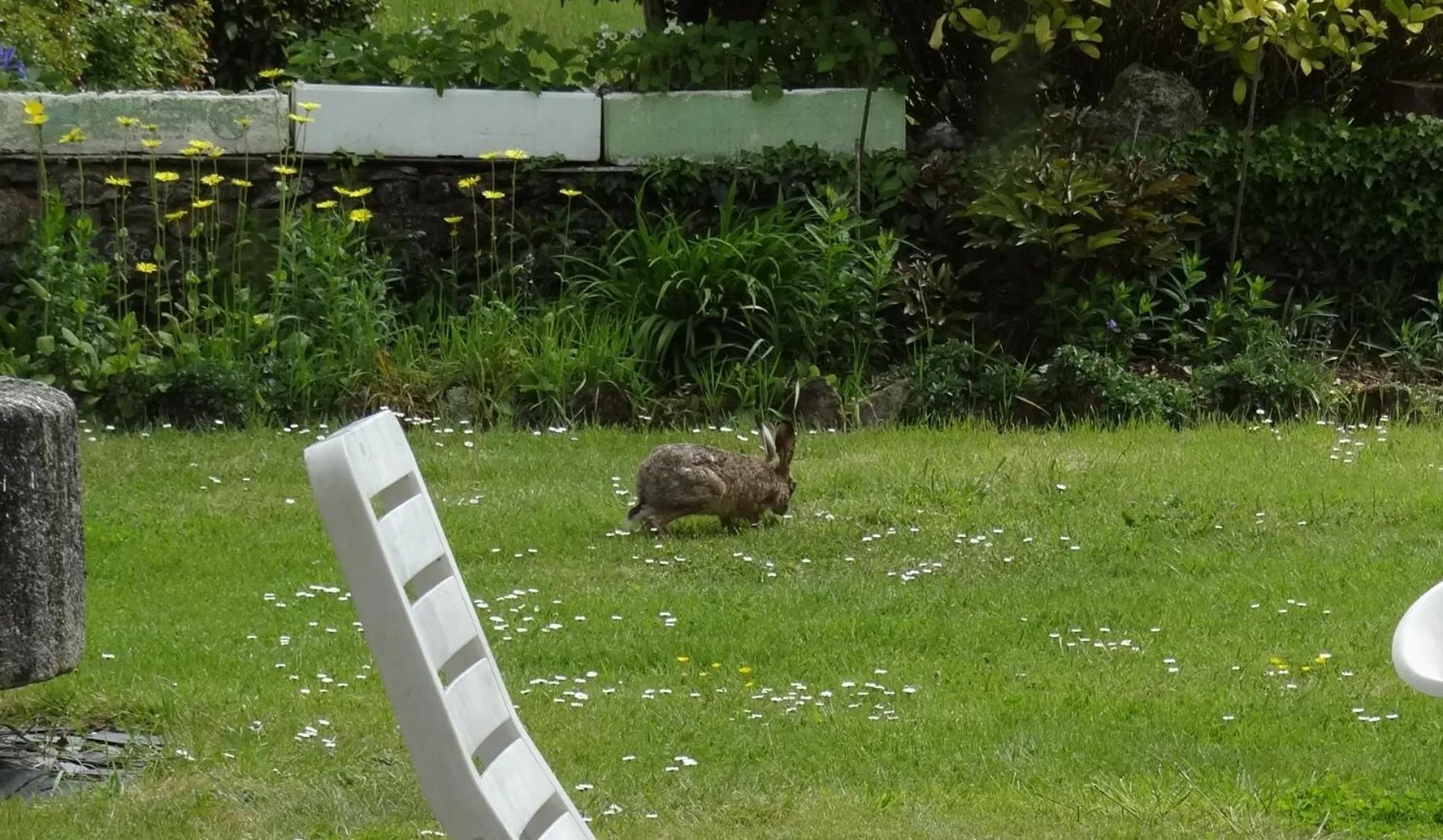 Garden in Manoir de la Provosterie