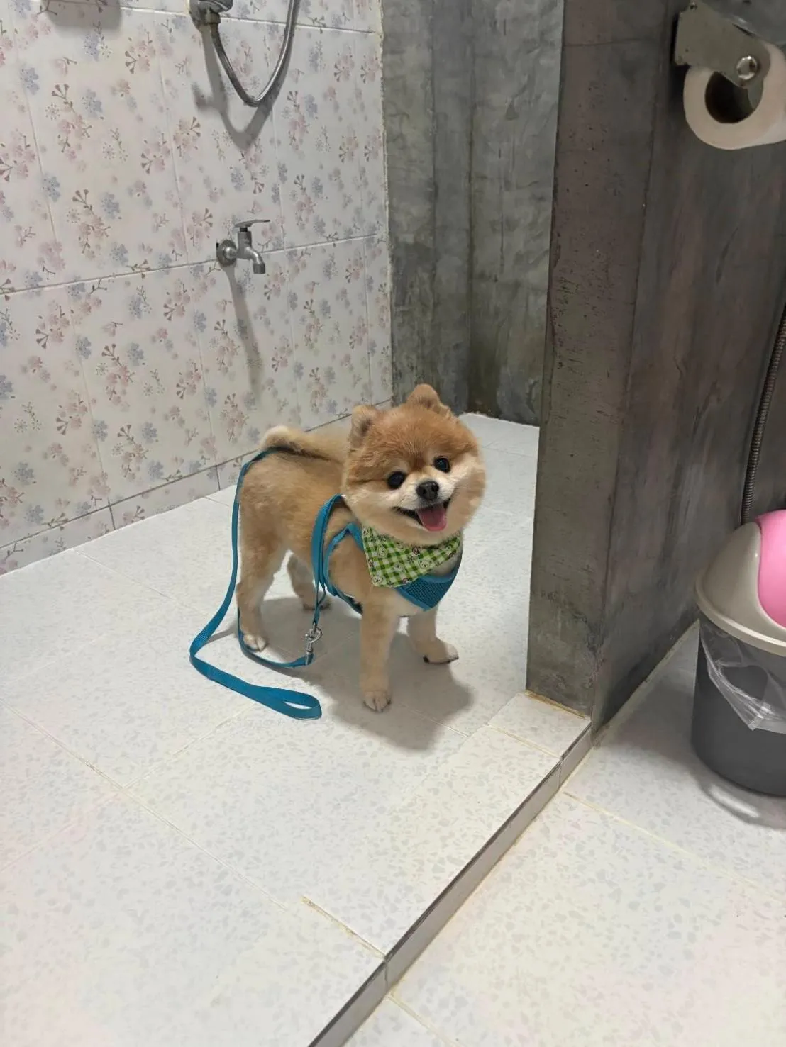 B-tel Chomthong resort Chiang mai