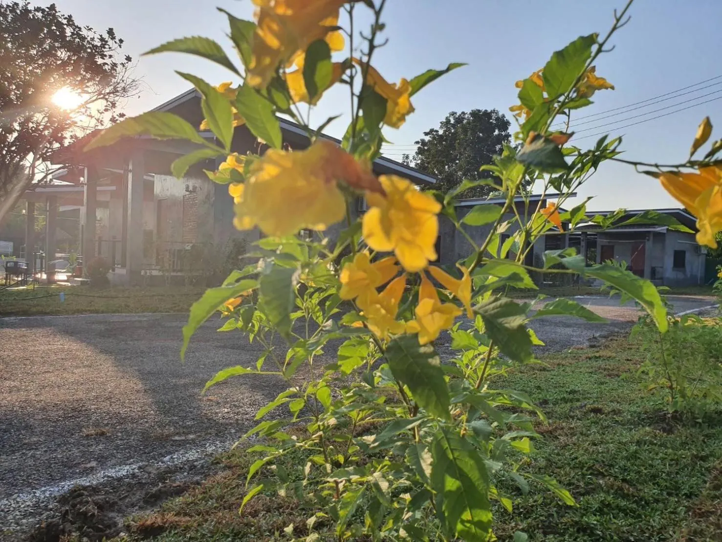 B-tel Chomthong resort Chiang mai