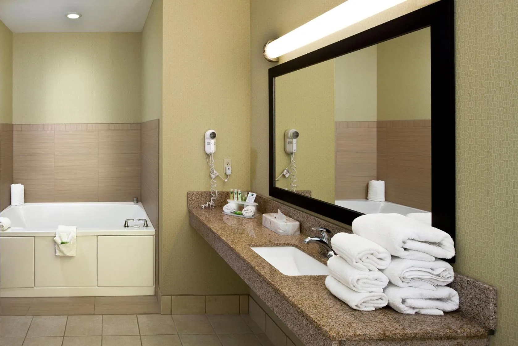 Bathroom in Holiday Inn Express Hotel & Suites Saginaw by IHG