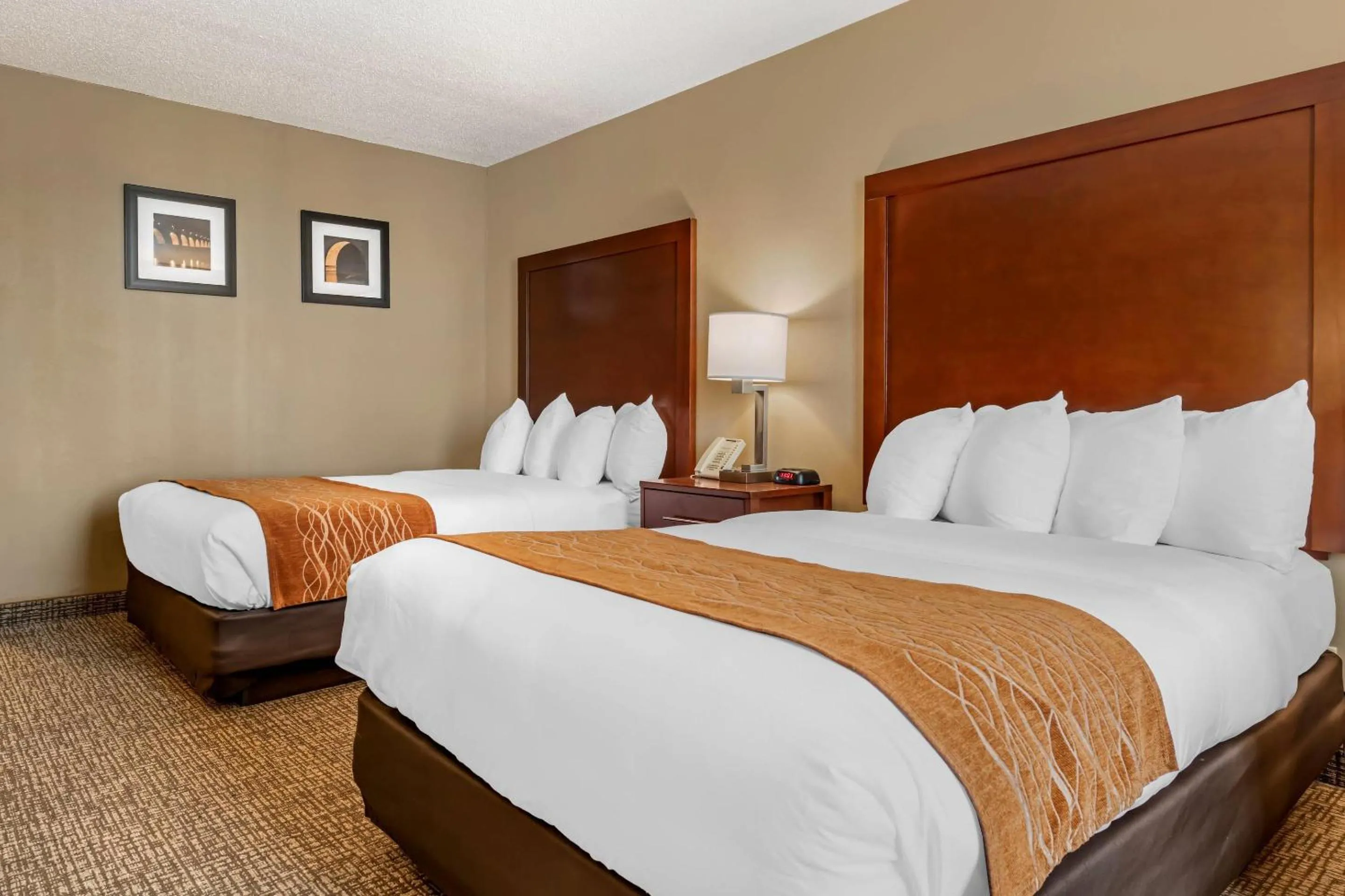 Bedroom, Bed in Comfort Inn MSP Airport - Mall of America