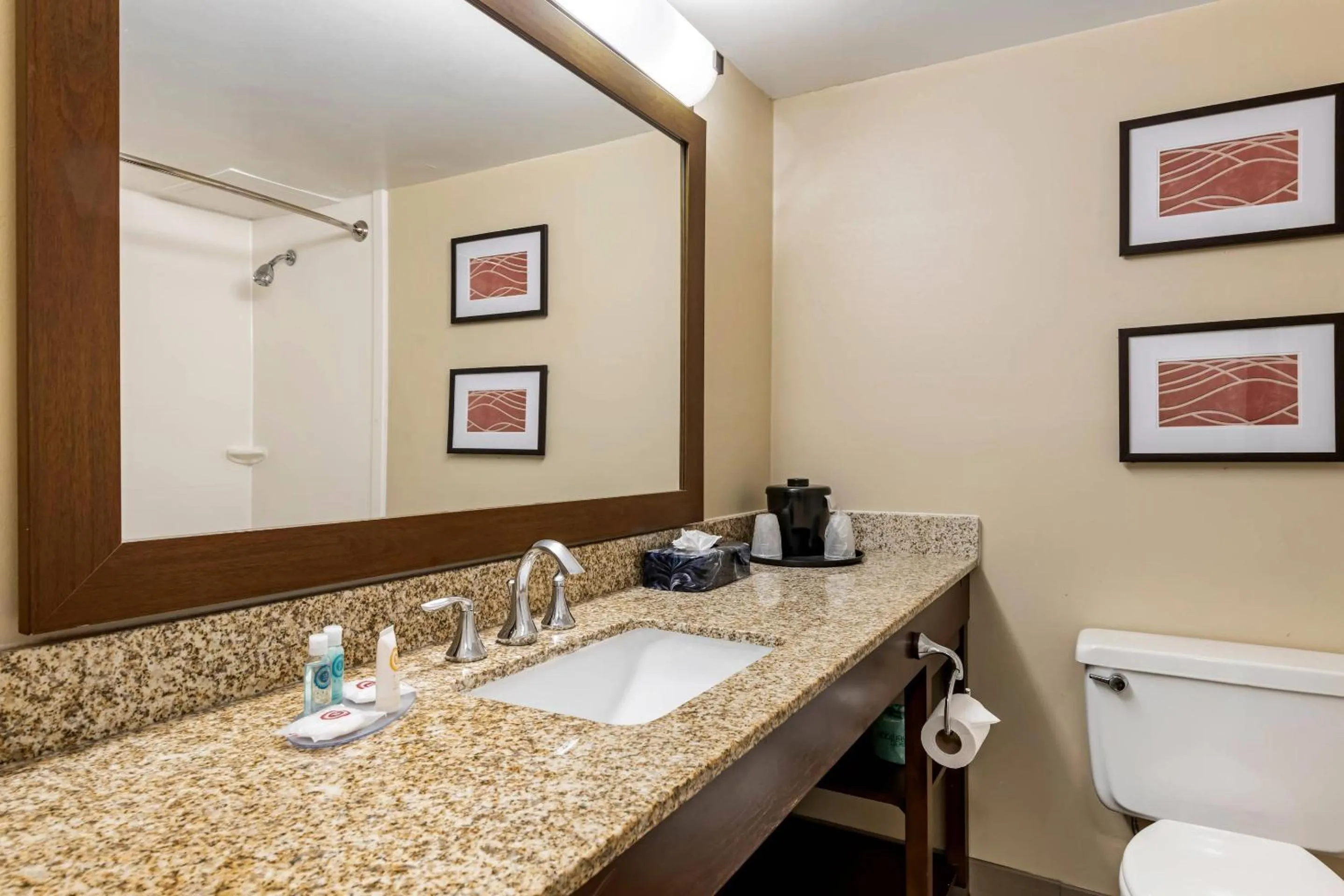 Bedroom in Comfort Inn MSP Airport - Mall of America