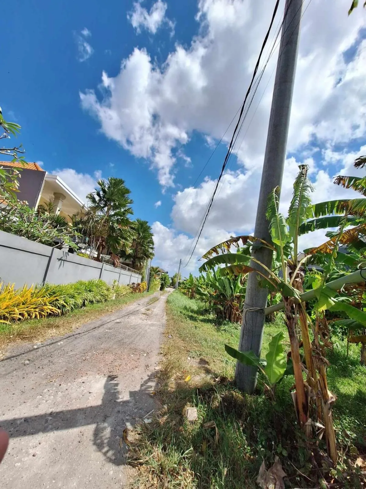 Day in Bonewood Guesthouse