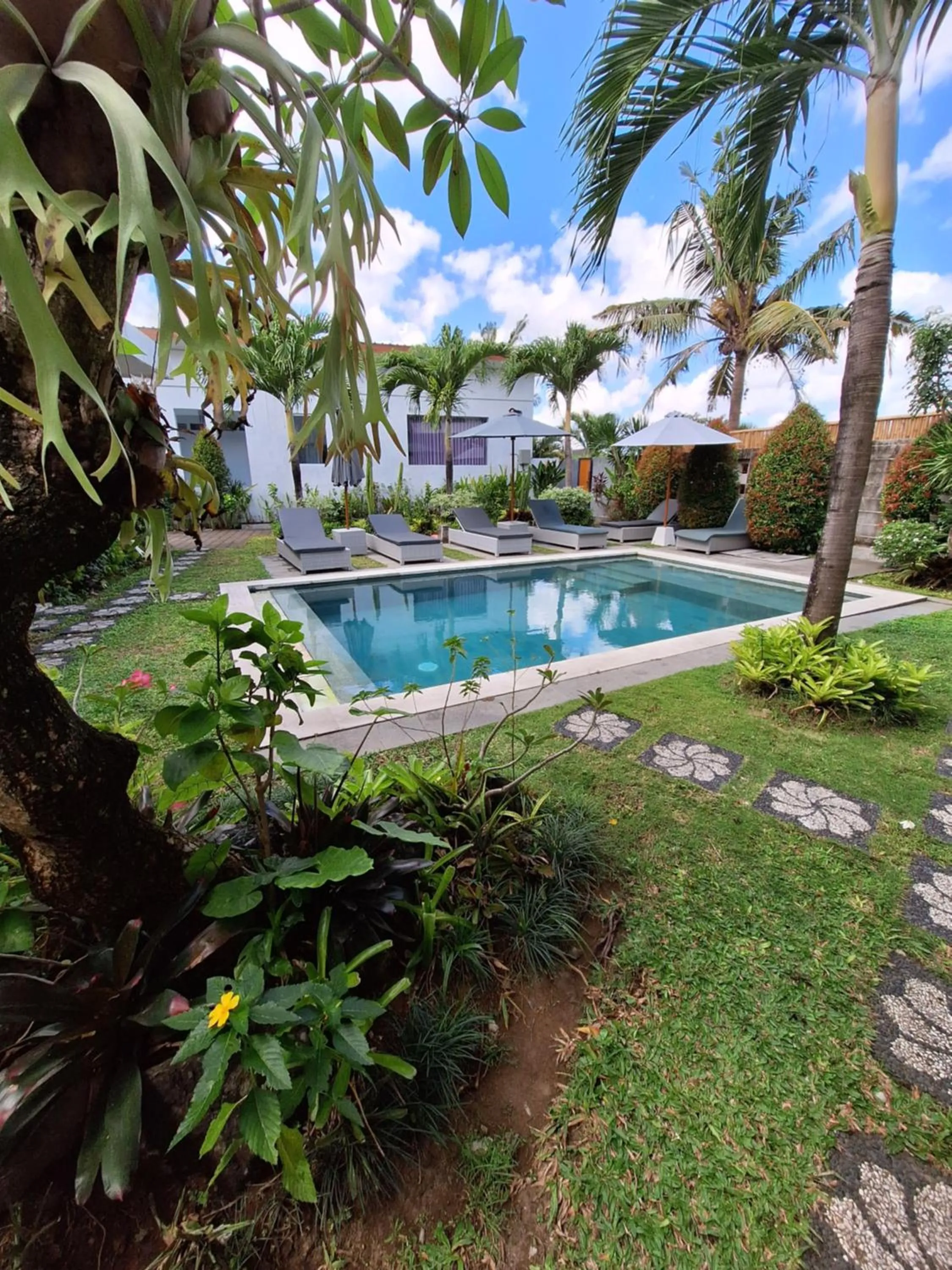 Day in Bonewood Guesthouse