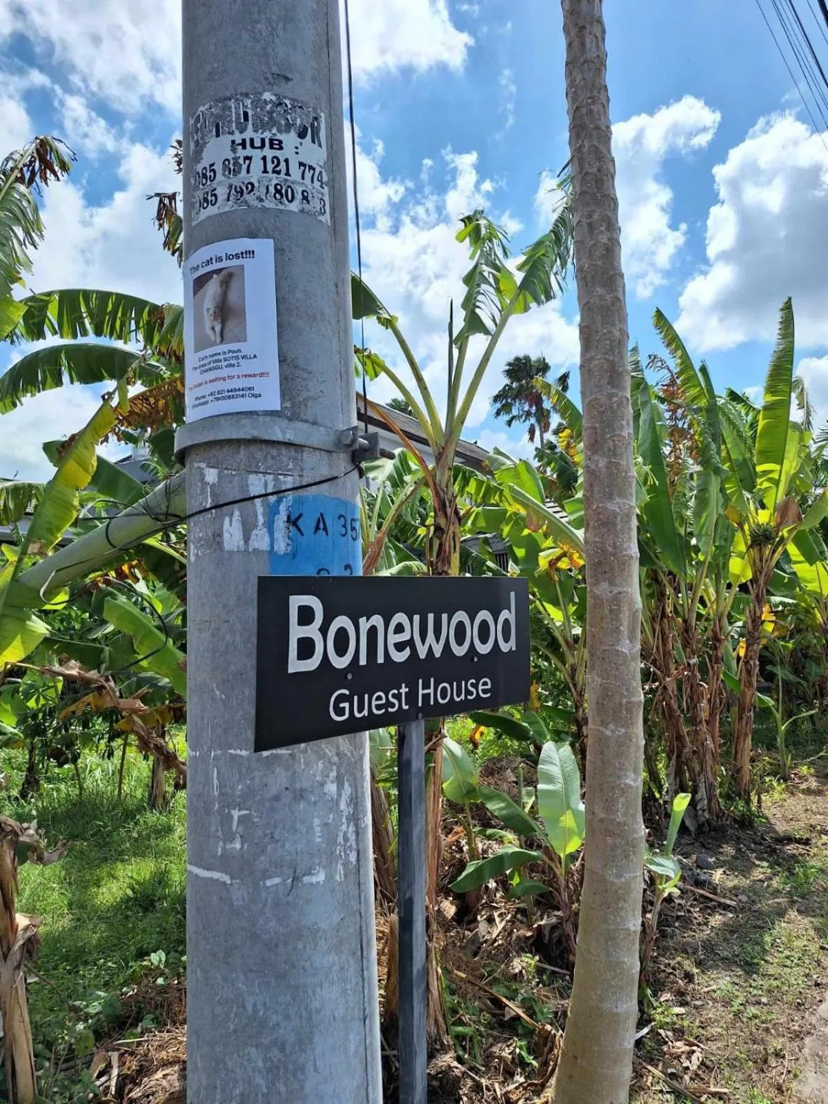 Day in Bonewood Guesthouse