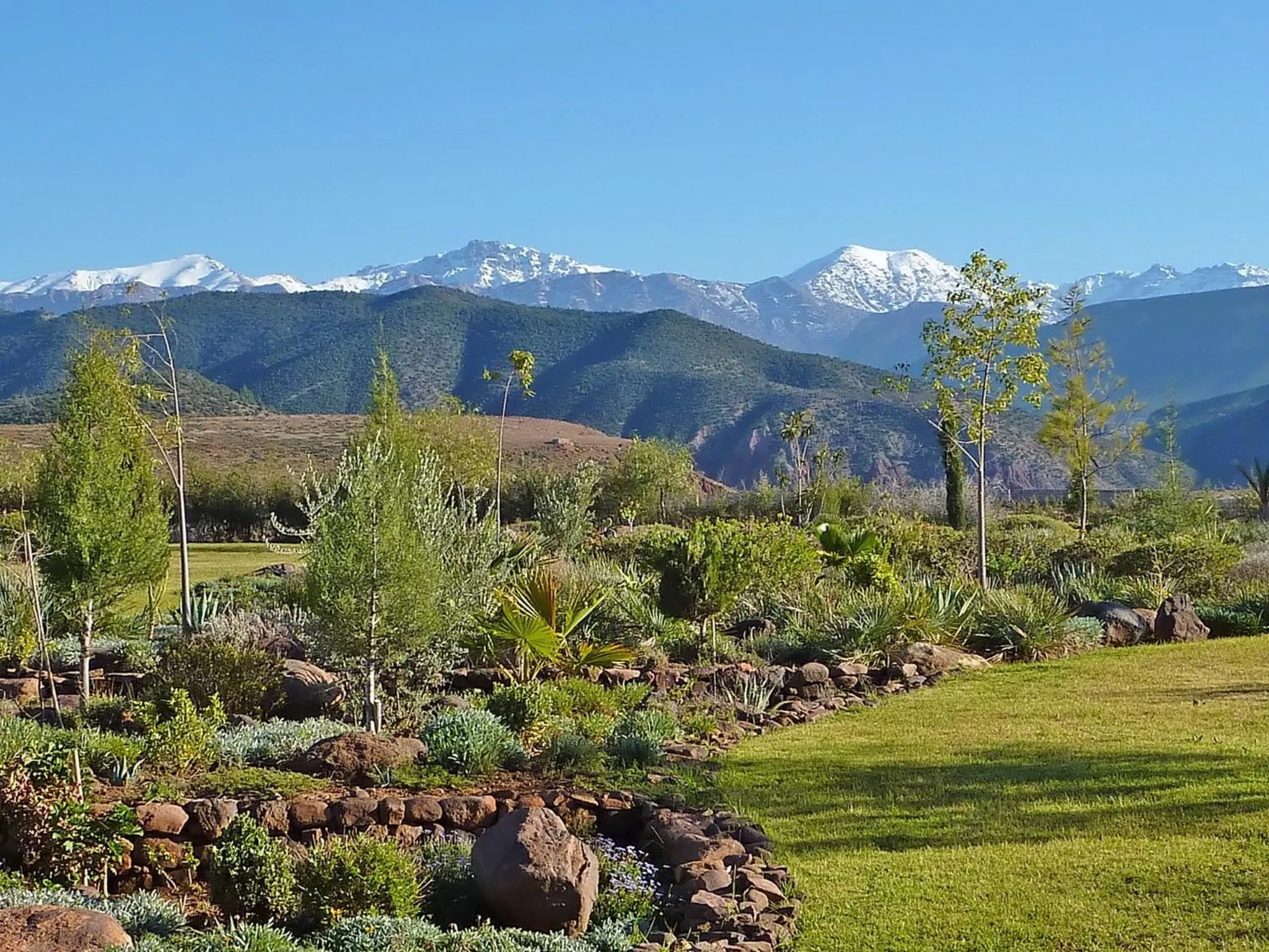 Garden in Kasbah Angour