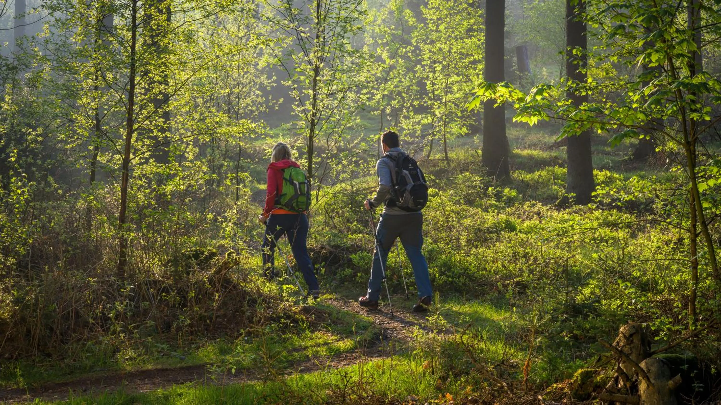 Hiking in Hotel Tiefenhagen Sauerland
