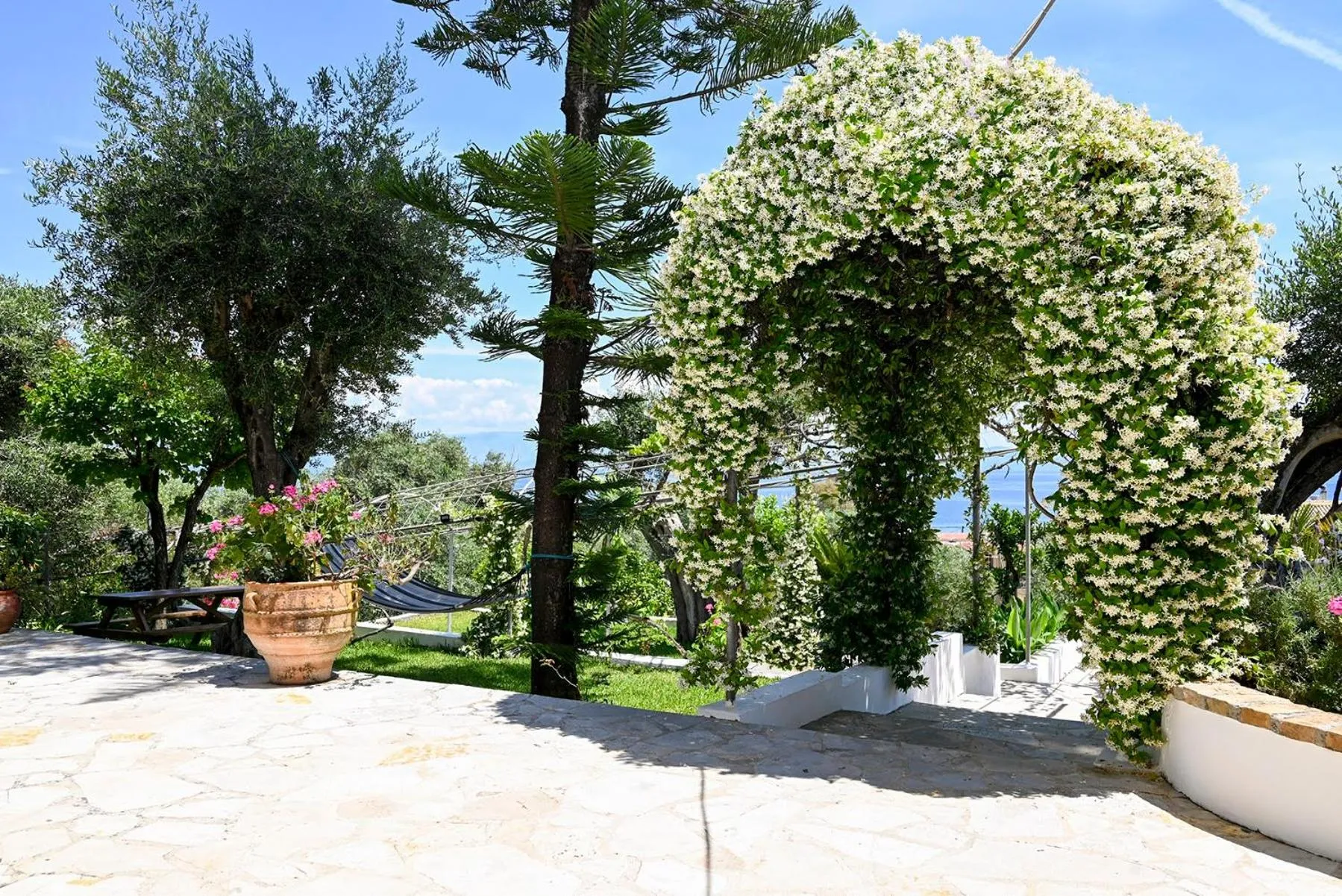 Garden in Gina Studios