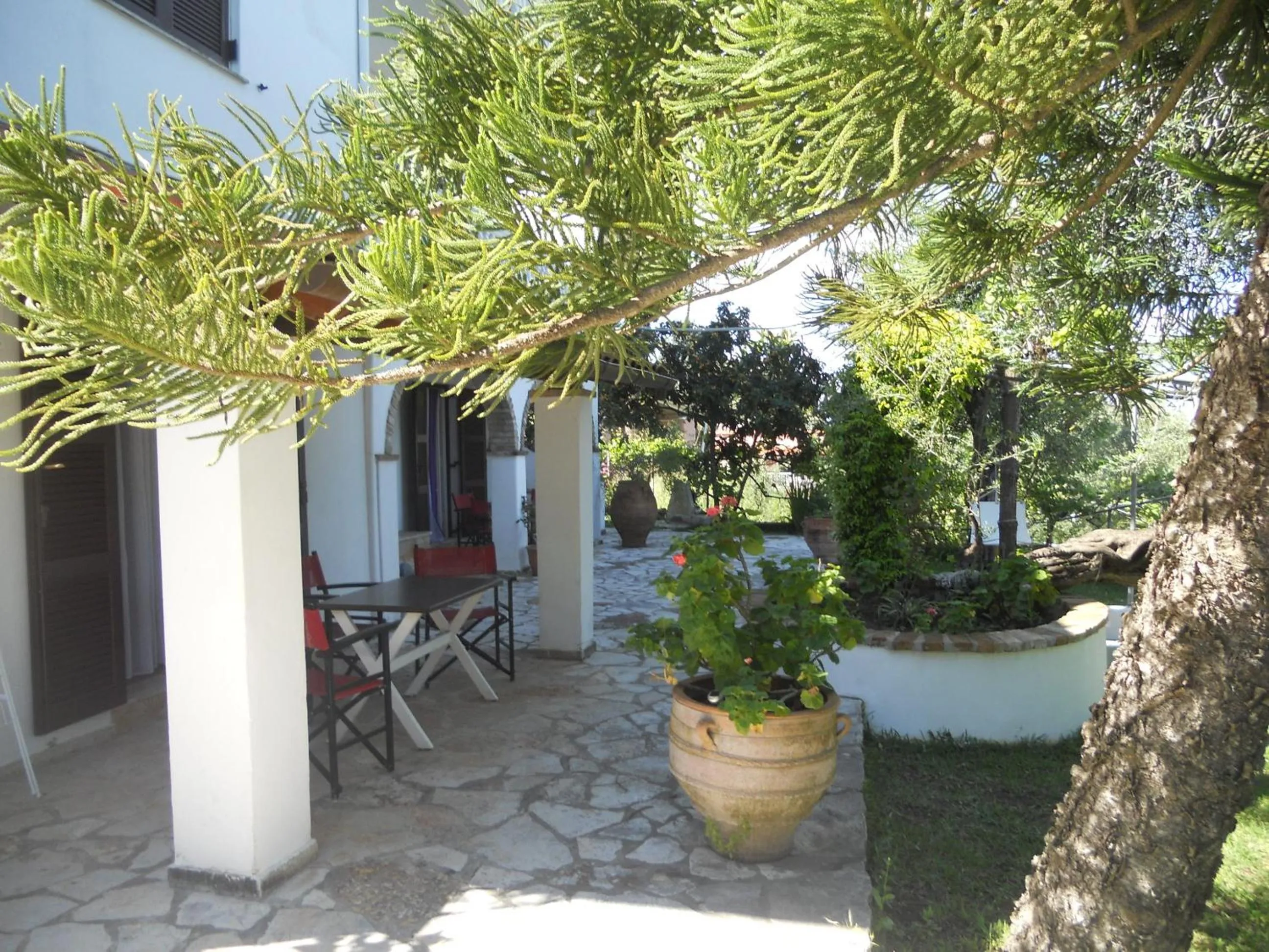 Garden in Gina Studios