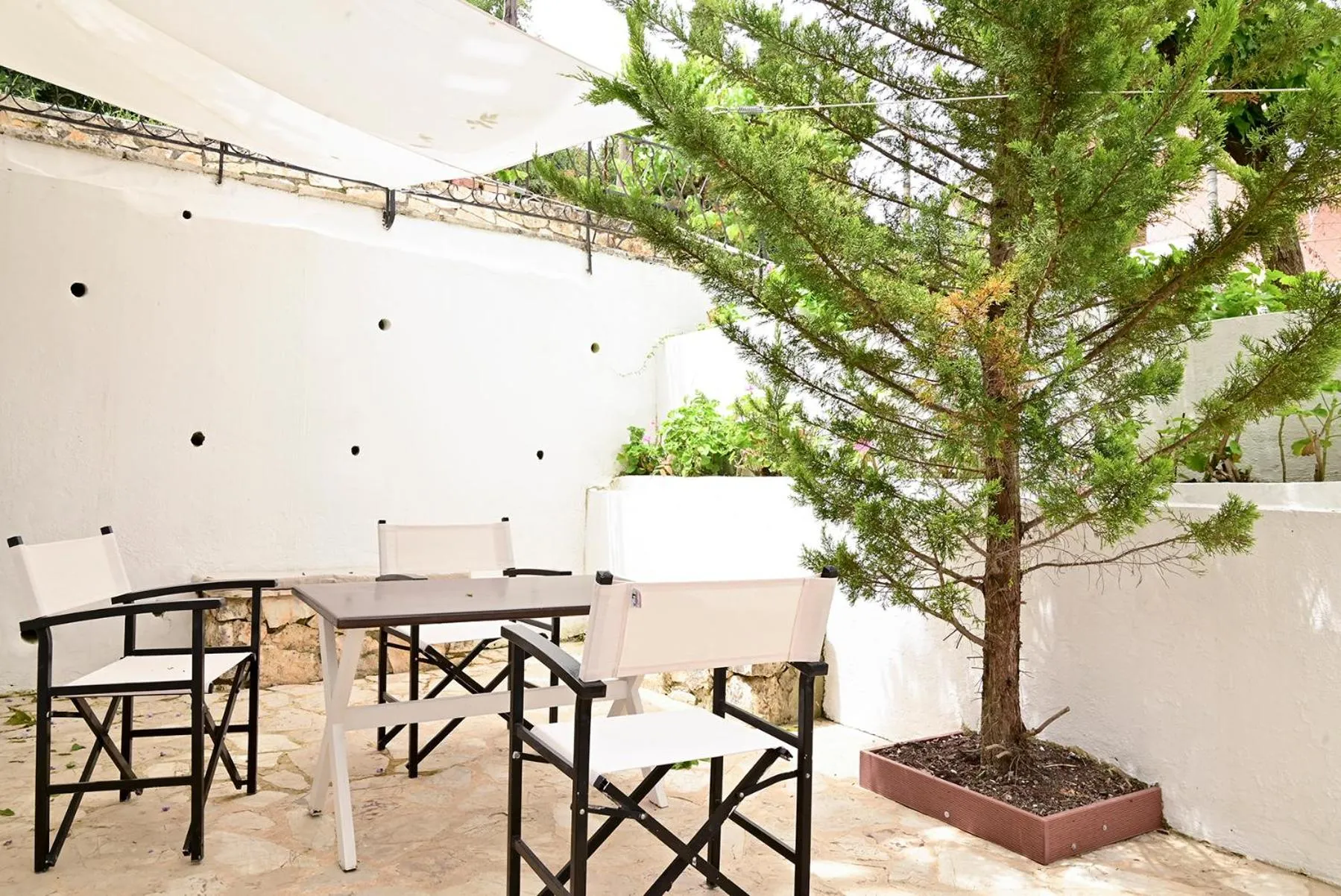 Garden in Gina Studios