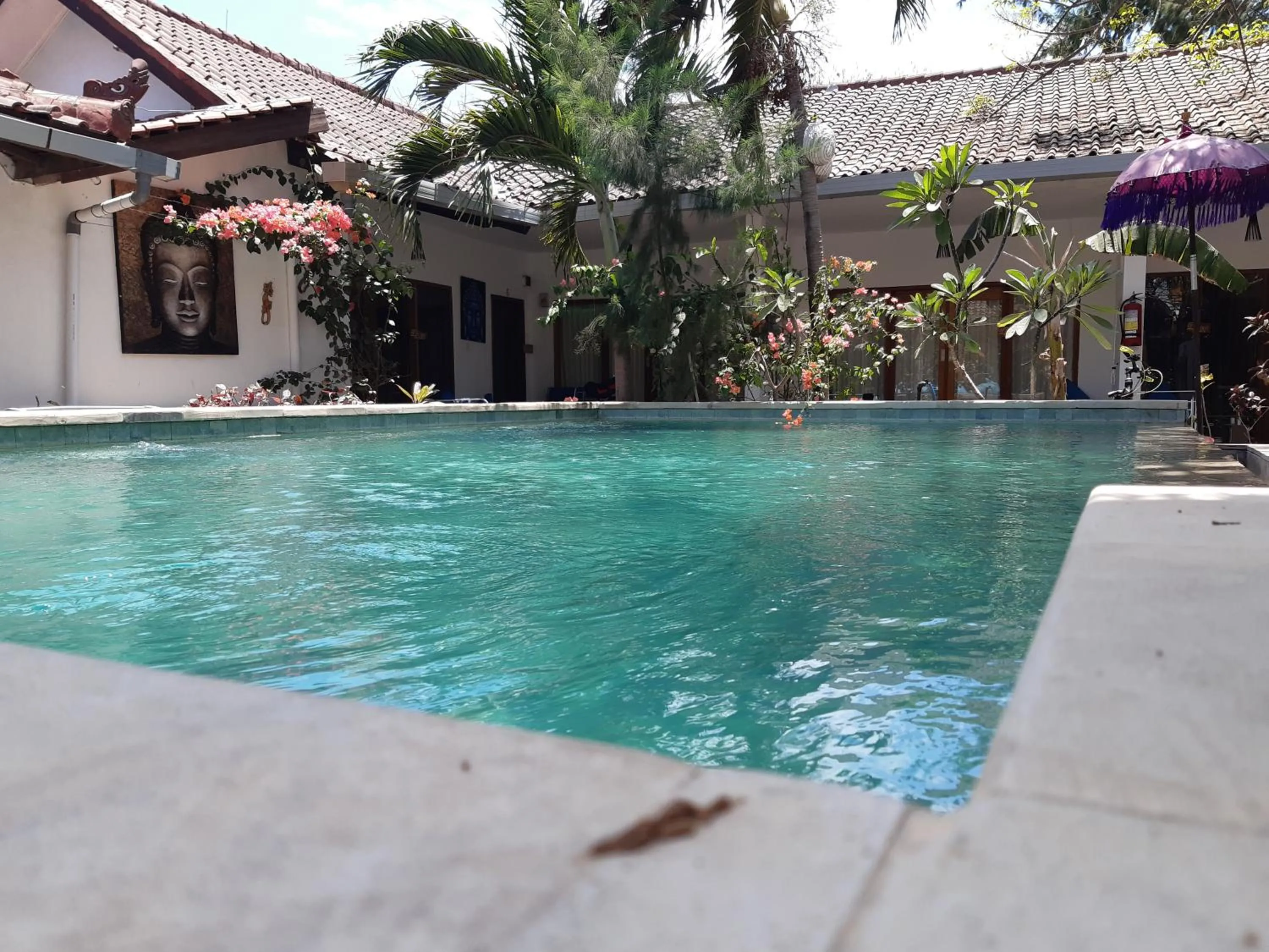 Pool view in Dream Hotel