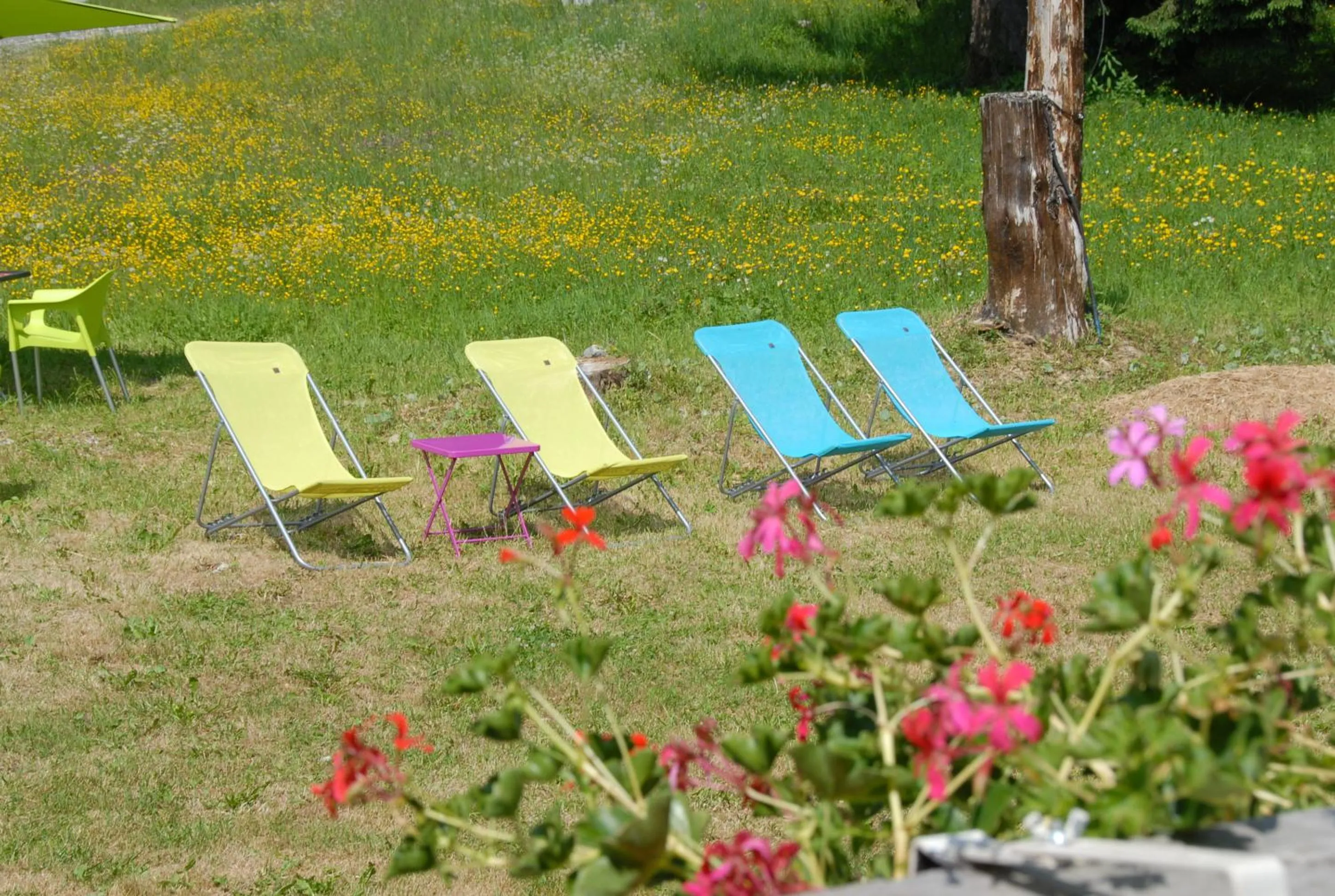 Garden in Hôtel Chalet Le Caribou