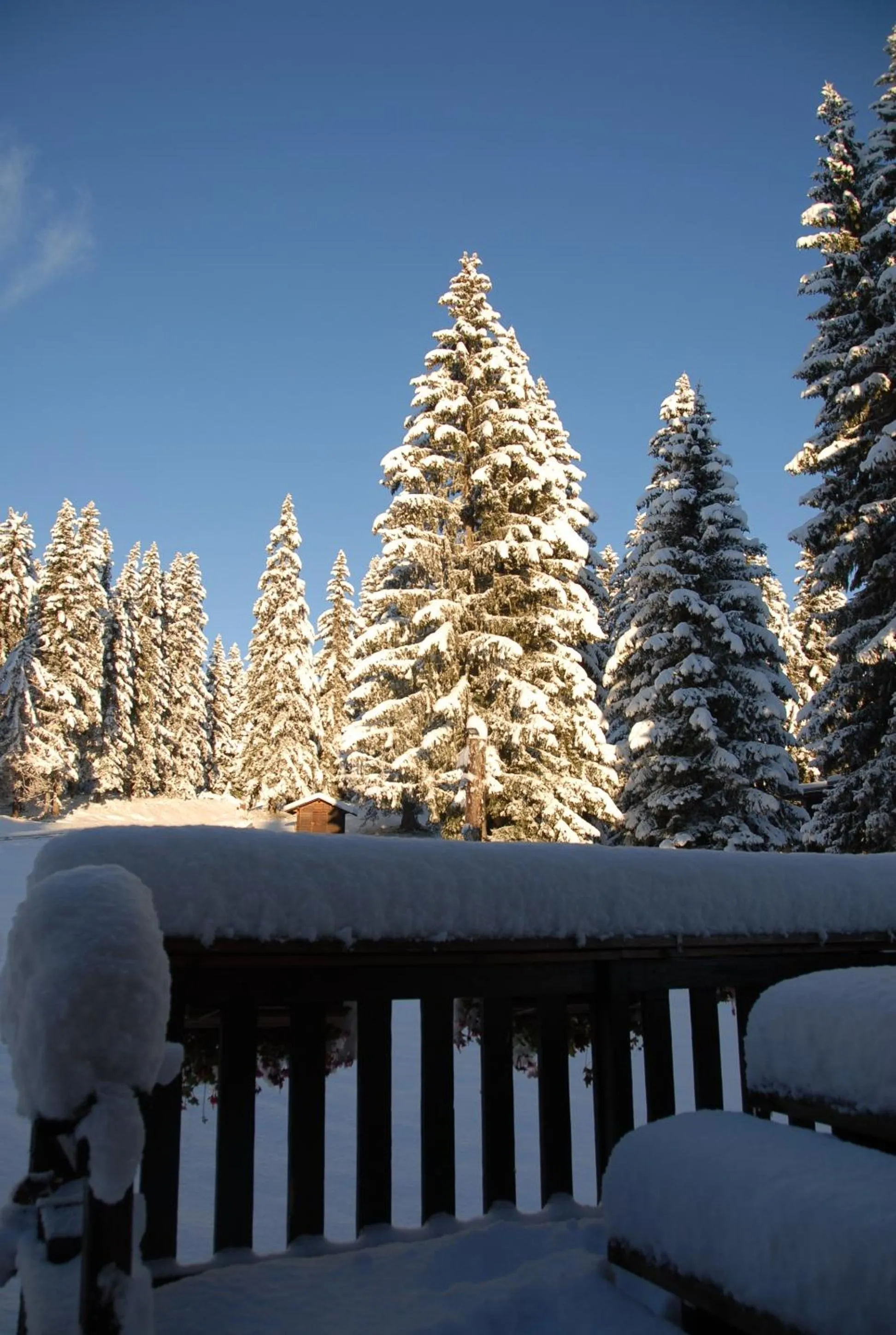 Other in Hôtel Chalet Le Caribou