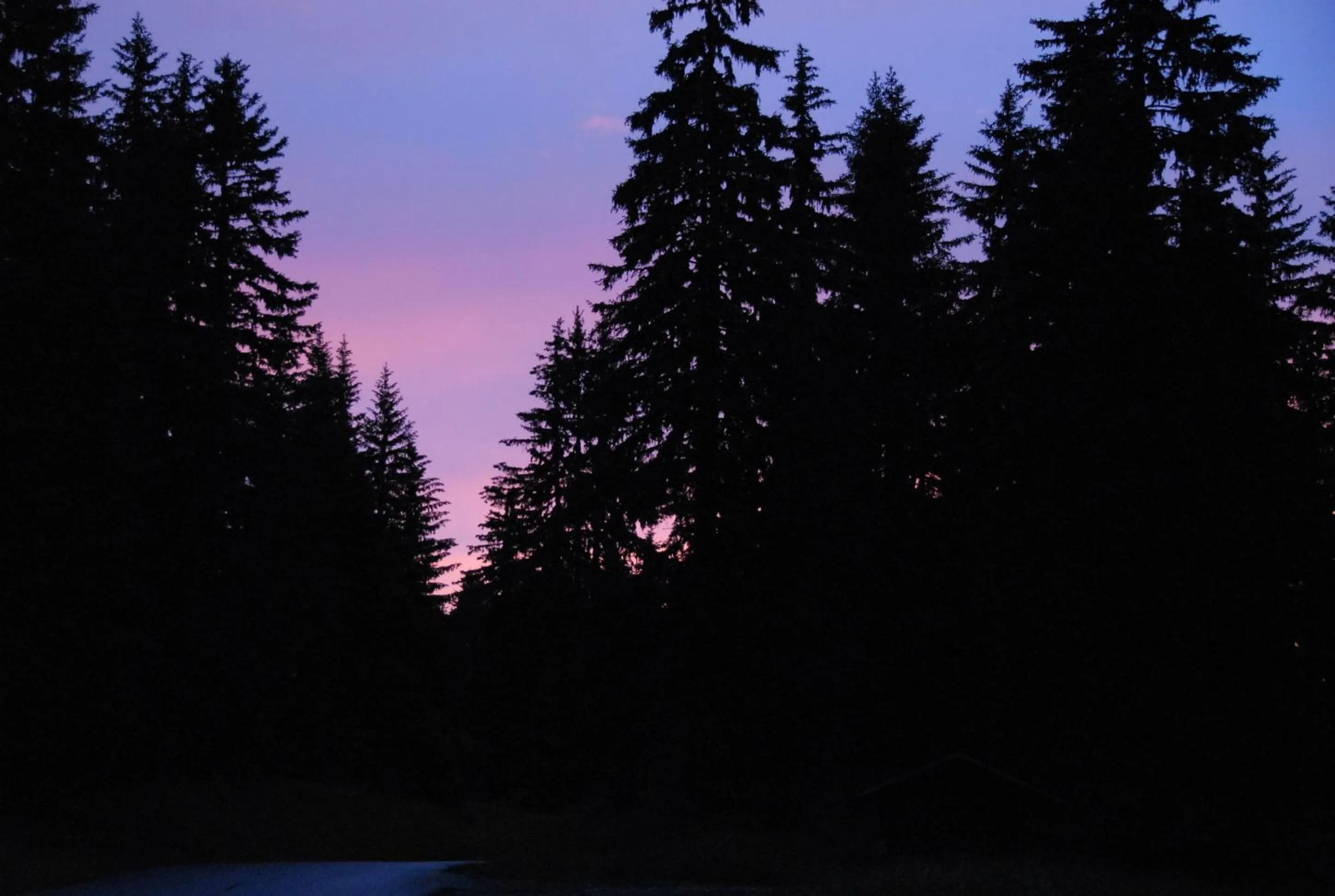 Natural landscape in Hôtel Chalet Le Caribou